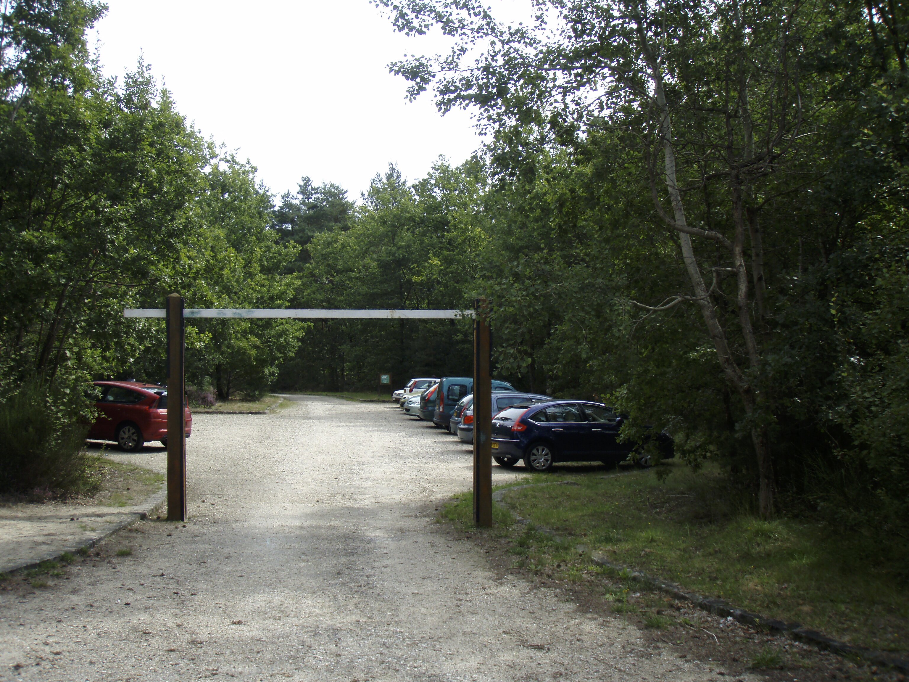 รูปถ่าย ฝรั่งเศส(France) ฟงเทนโบล(Fontainebleau) ทัวร์ป่า(Circuit des 25 bosses) 2007-08 172