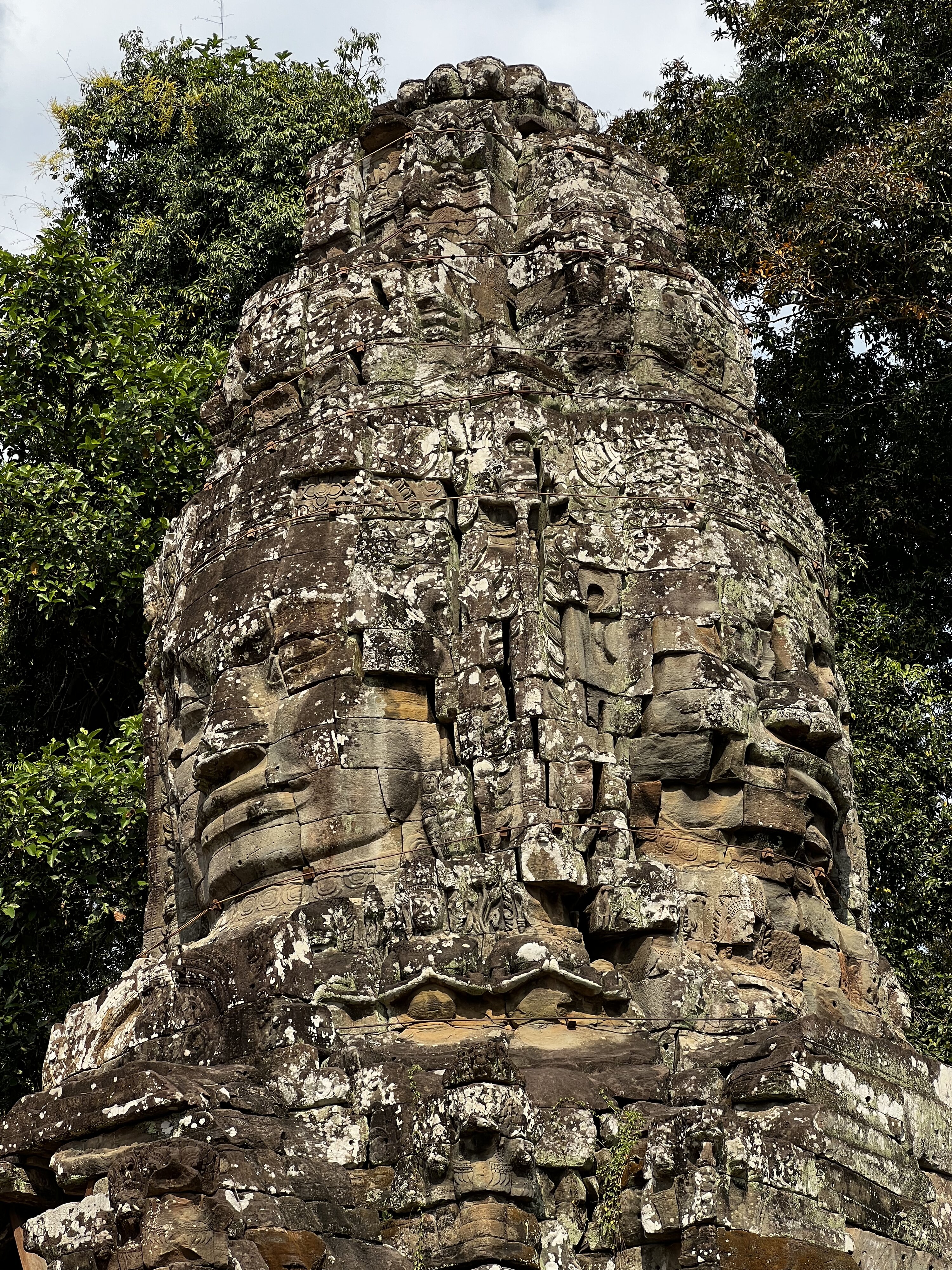 รูปถ่าย กัมพูชา(Cambodia) เสียมราฐ(Siem Reap) ปราสาทตาพรหม(Ta Prohm) 2023-01 38