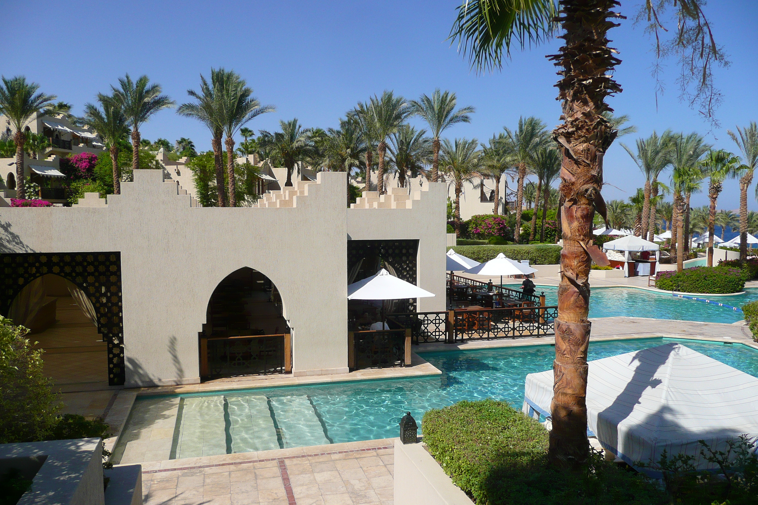 รูปถ่าย อียิปต์(Egypt) ชาร์มเอลชีค(Sharm el Sheikh) โรงแรมโฟร์ซีซันส์(Four Seasons Hotel) สระว่ายน้ำอัลวาฮา โฟร์ซีซันส์(Four Seasons Al Waha Pool) 2008-06 38
