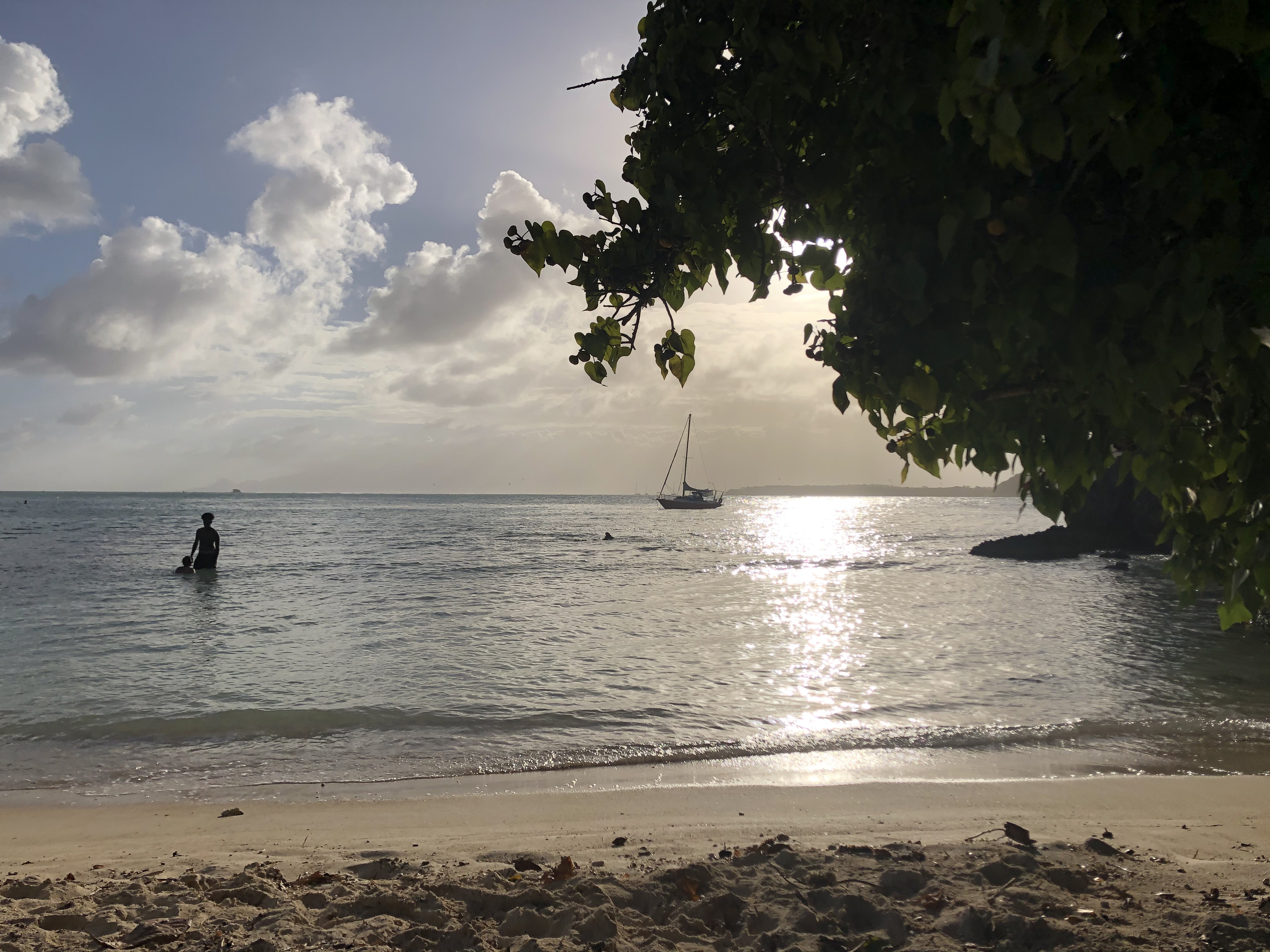 รูปถ่าย กวาเดอลูป(Guadeloupe) หาดปตีอาฟวร์(Petit Havre Beach) 2021-02 9