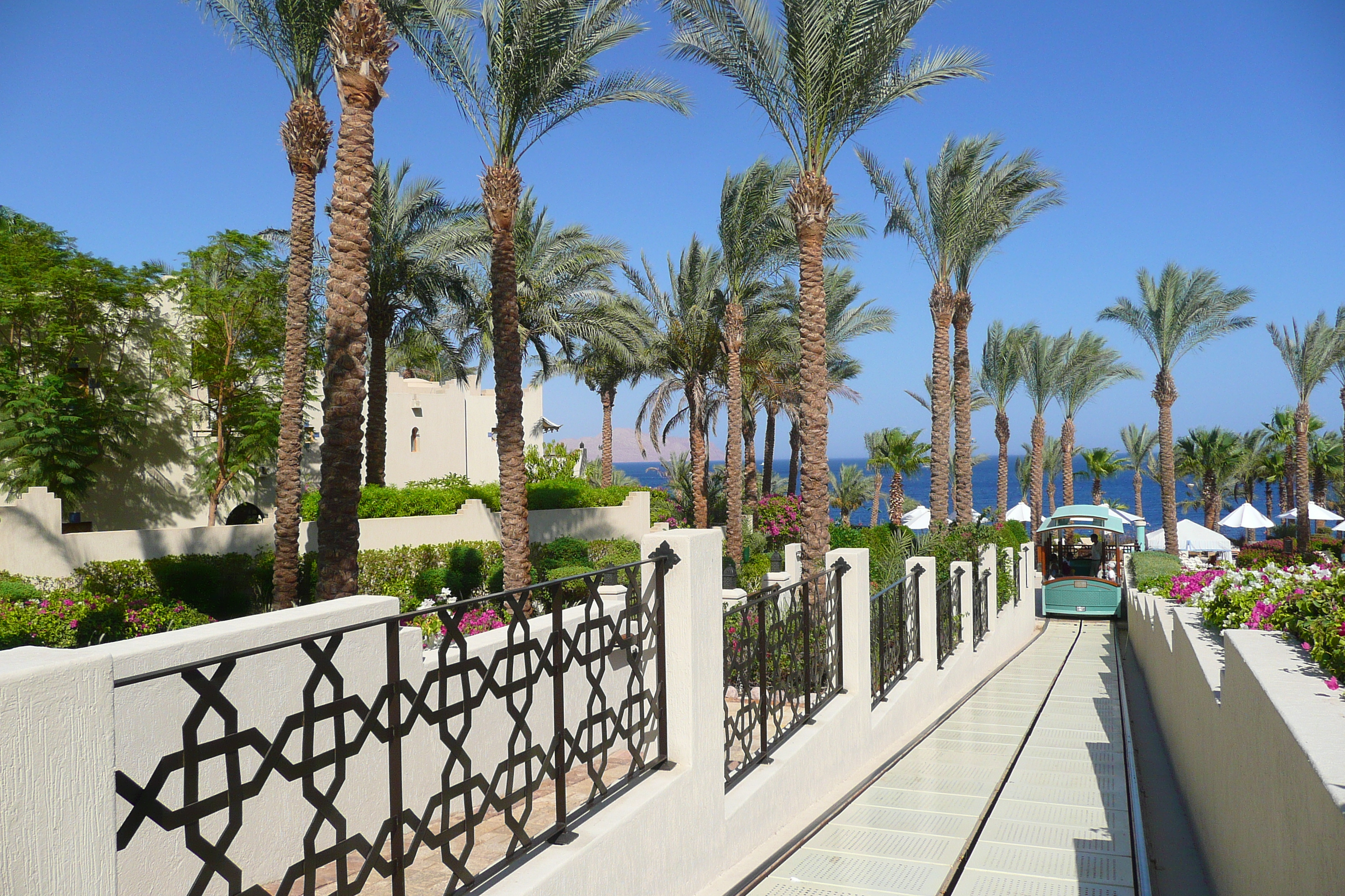 รูปถ่าย อียิปต์(Egypt) ชาร์มเอลชีค(Sharm el Sheikh) โรงแรมโฟร์ซีซันส์(Four Seasons Hotel) 2008-06 66