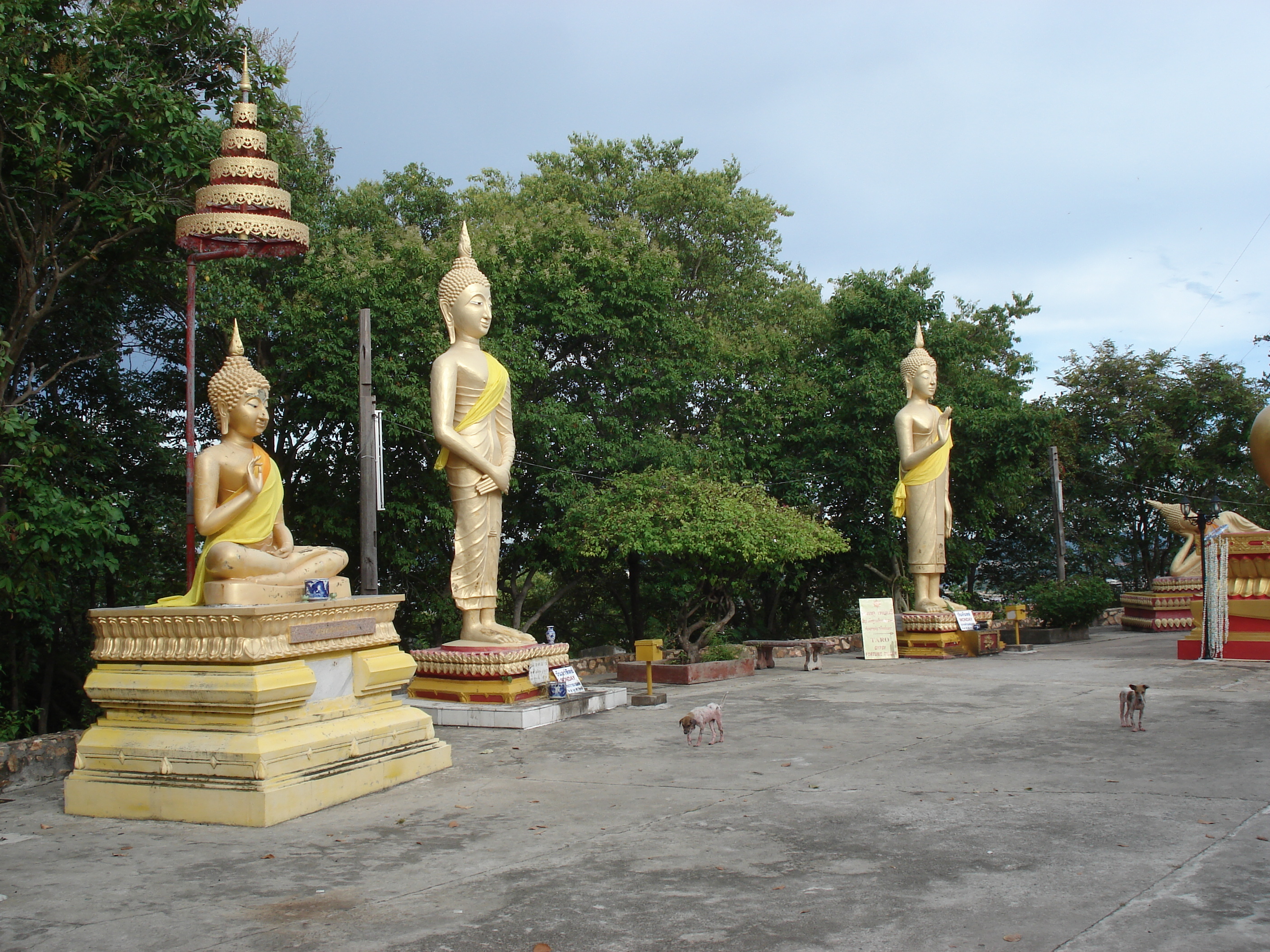 รูปถ่าย ไทย(Thailand) พัทยา(Pattaya) 2006-09 28