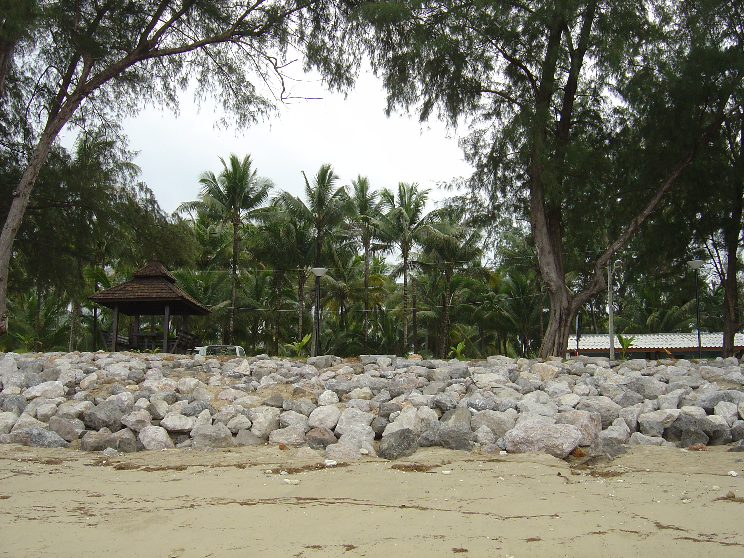 รูปถ่าย ไทย(Thailand) เขาหลัก(Khao Lak) หาดบางสัก(Bang Sak Beach) 2005-12 14