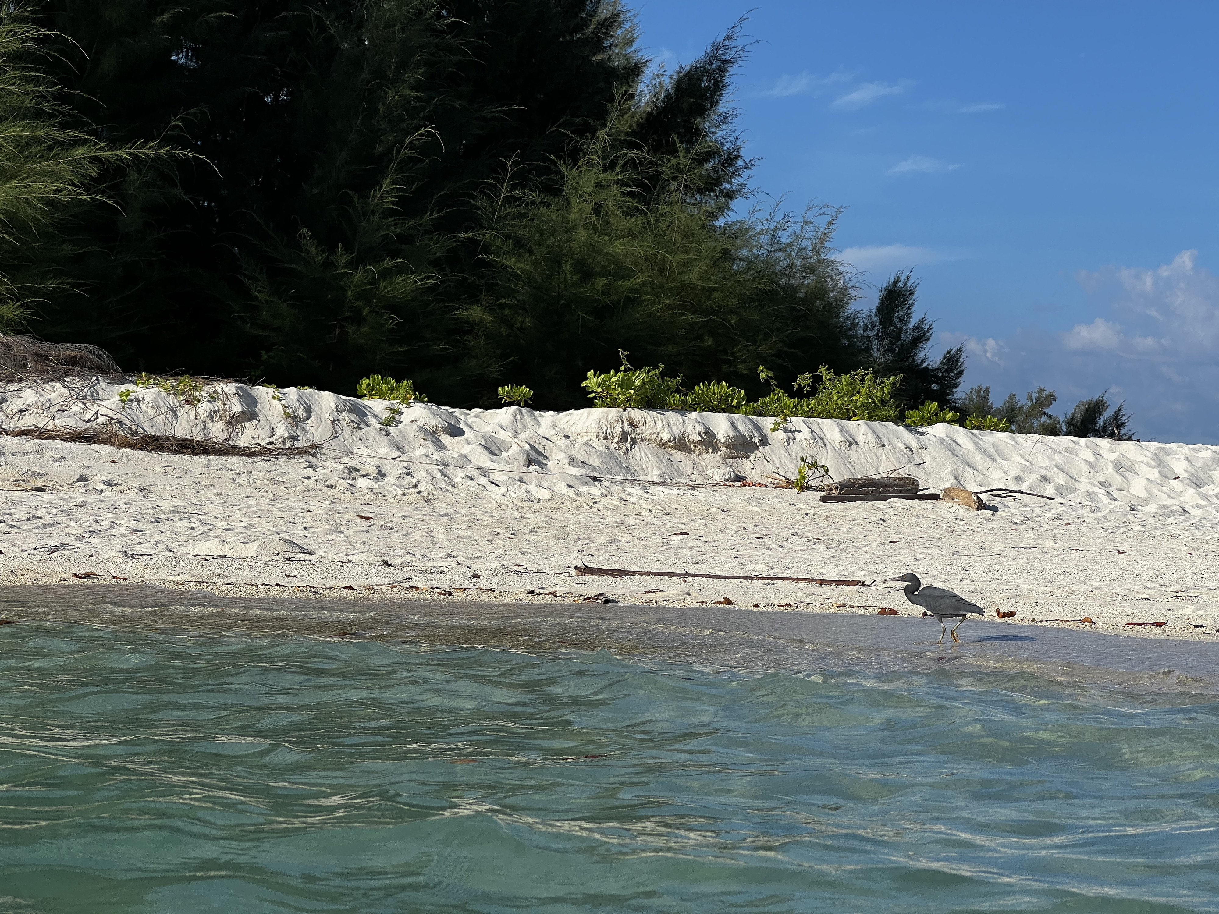 รูปถ่าย ไทย(Thailand) กระบี่(Krabi) เกาะปอดะ(Ko Poda) 2023-01 86