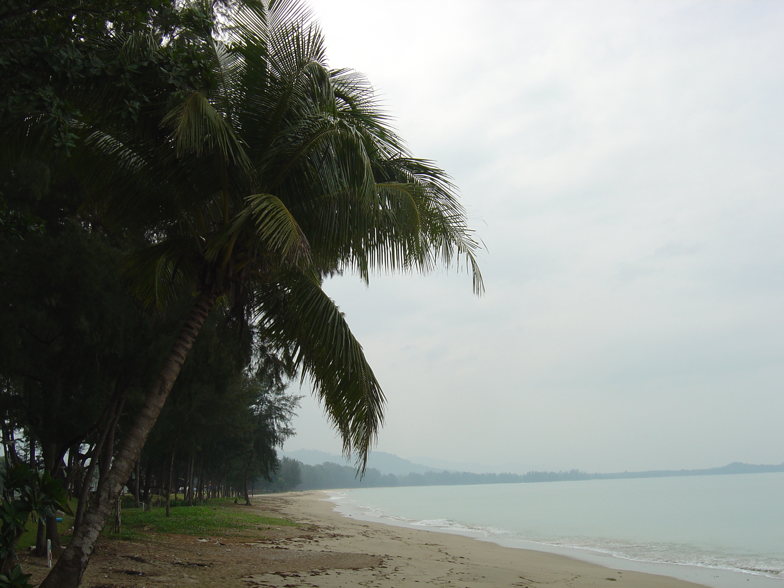 รูปถ่าย ไทย(Thailand) เขาหลัก(Khao Lak) หาดบางสัก(Bang Sak Beach) 2005-12 9
