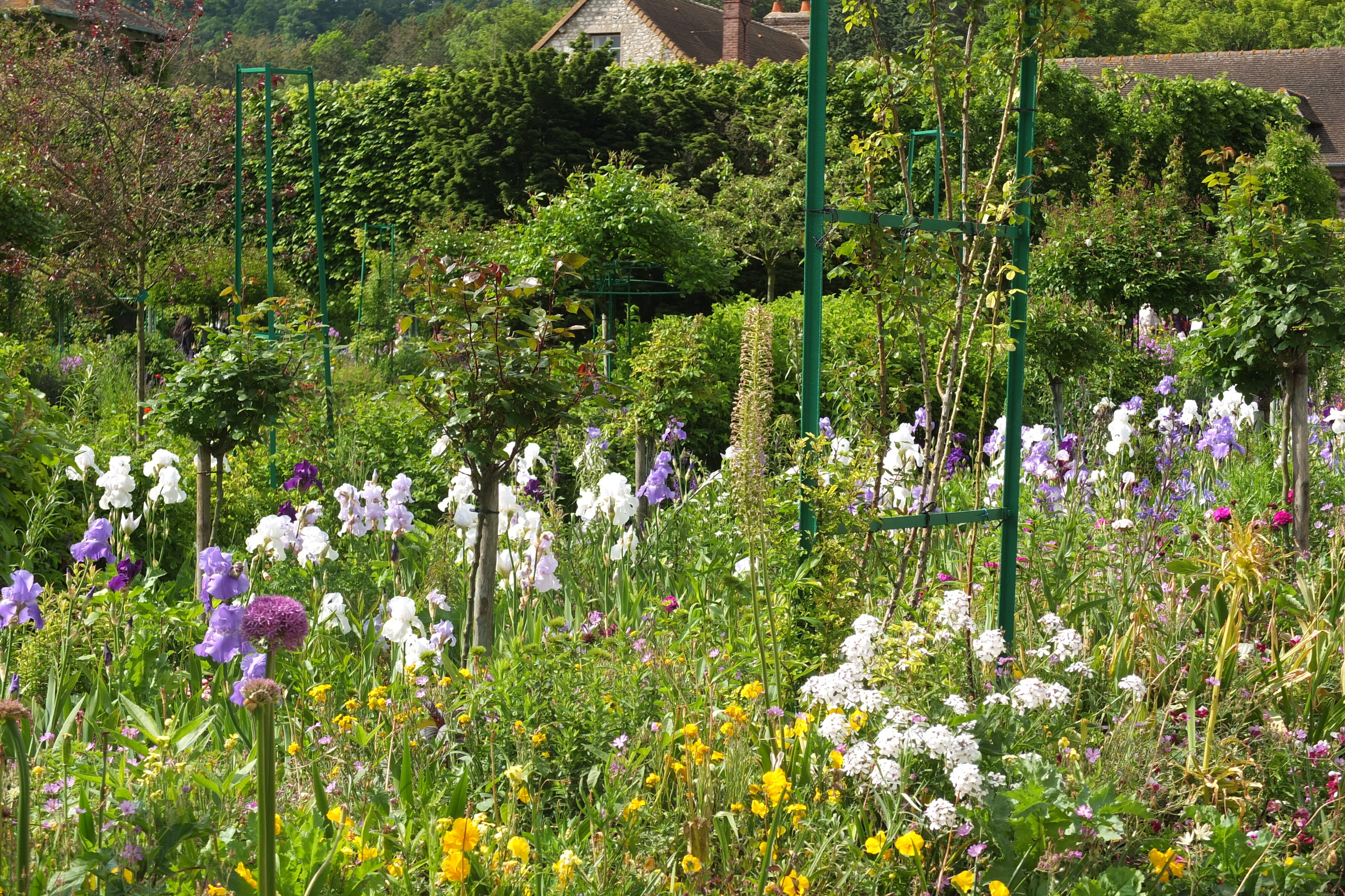 รูปถ่าย ฝรั่งเศส(France) ฌีแวร์นี(Giverny) 2013-06 161