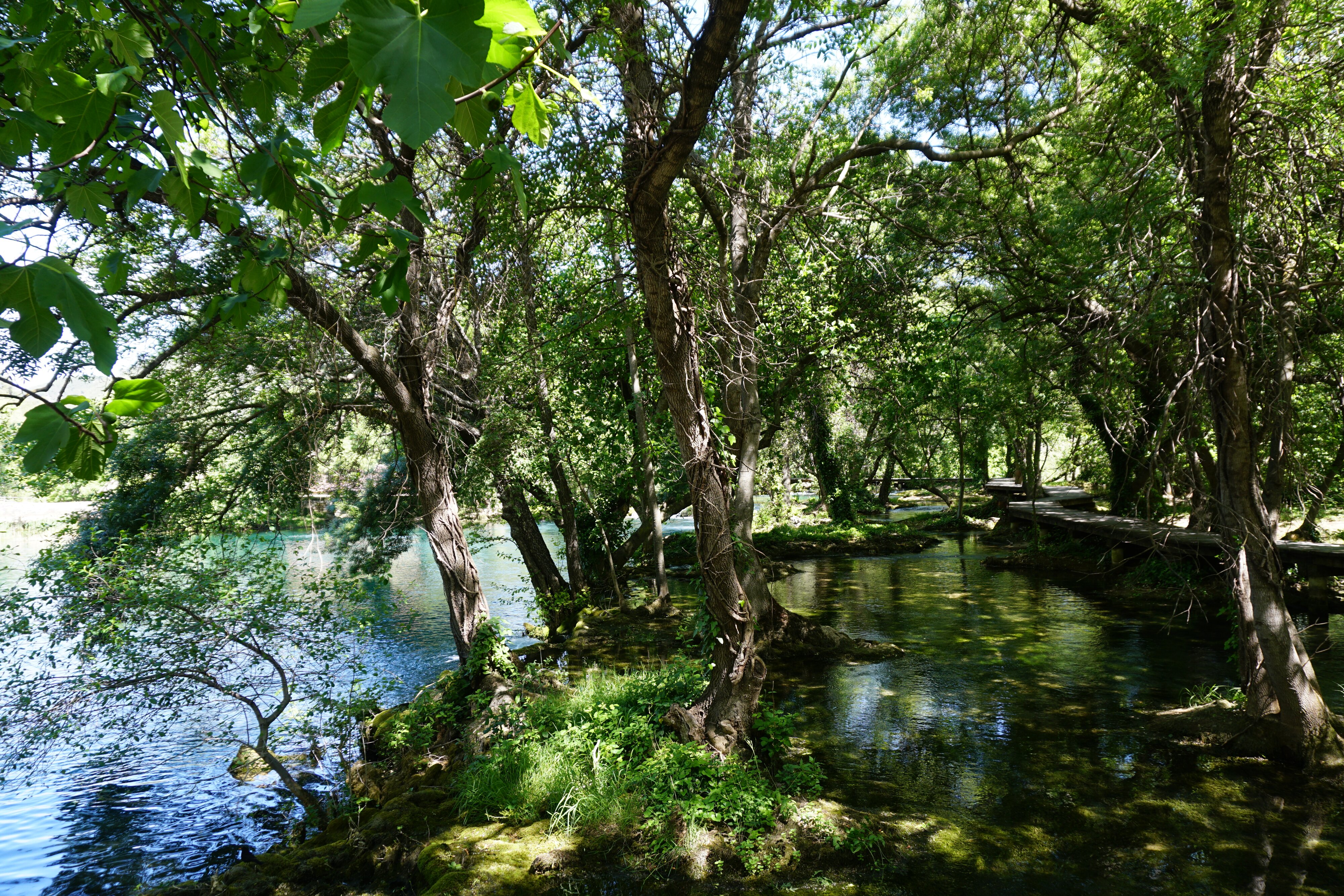 รูปถ่าย โครเอเชีย(Croatia) อุทยานแห่งชาติเคอร์คา(Krka National Park) 2016-04 104