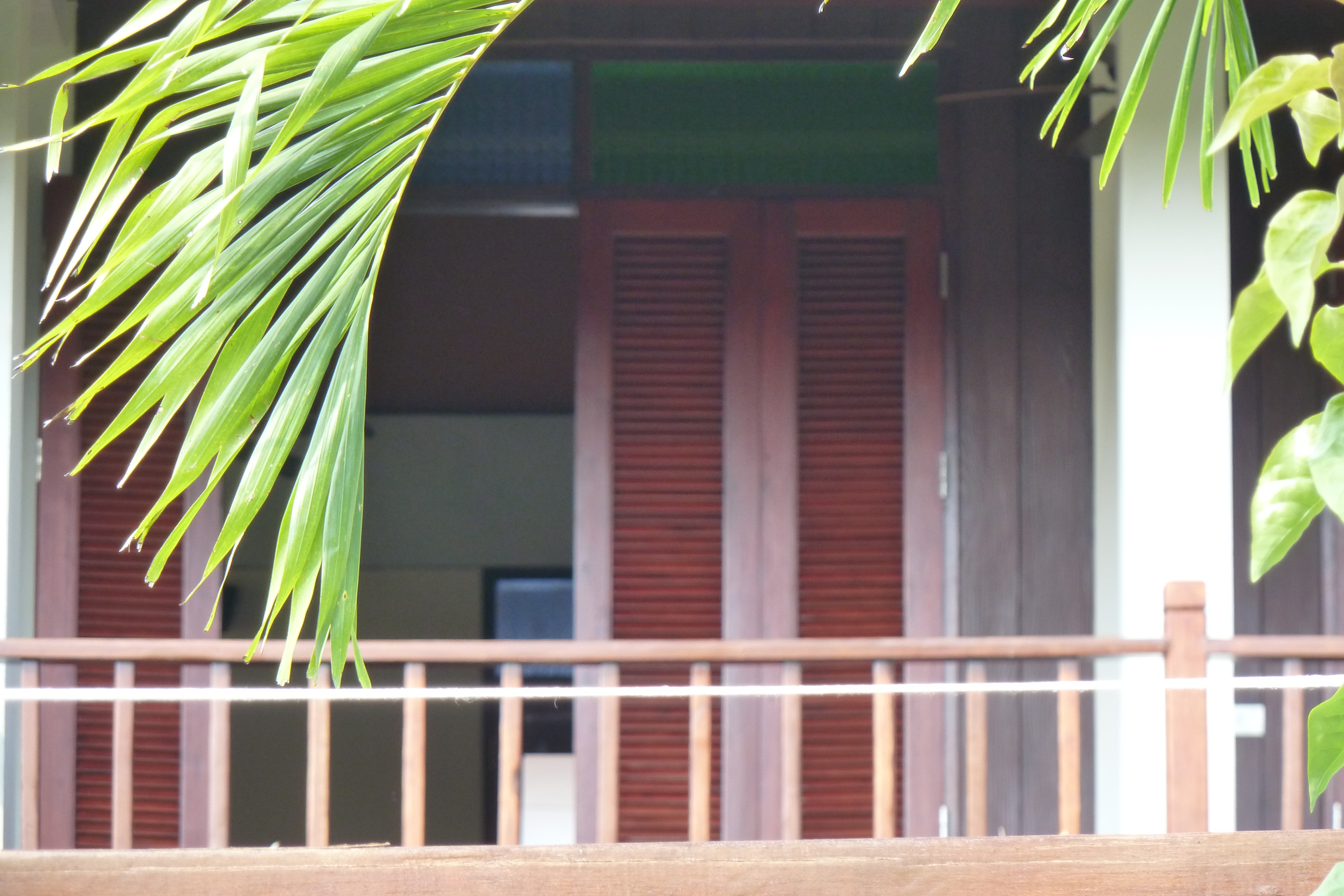รูปถ่าย ไทย(Thailand) เชียงใหม่(Chiang Mai) 2010-12 12