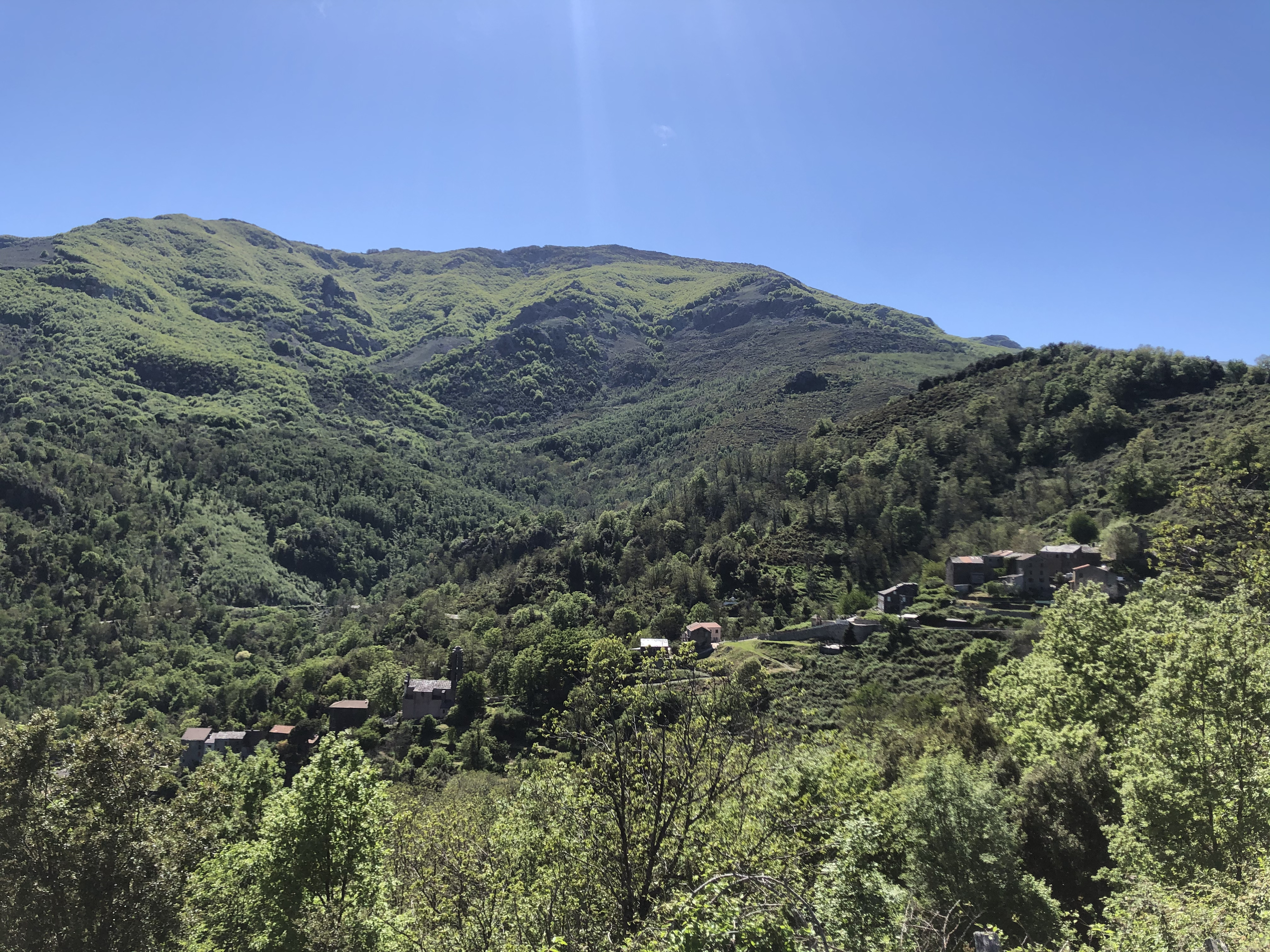 รูปถ่าย ฝรั่งเศส(France) คอร์สิคา(Corsica) 2021-05 13