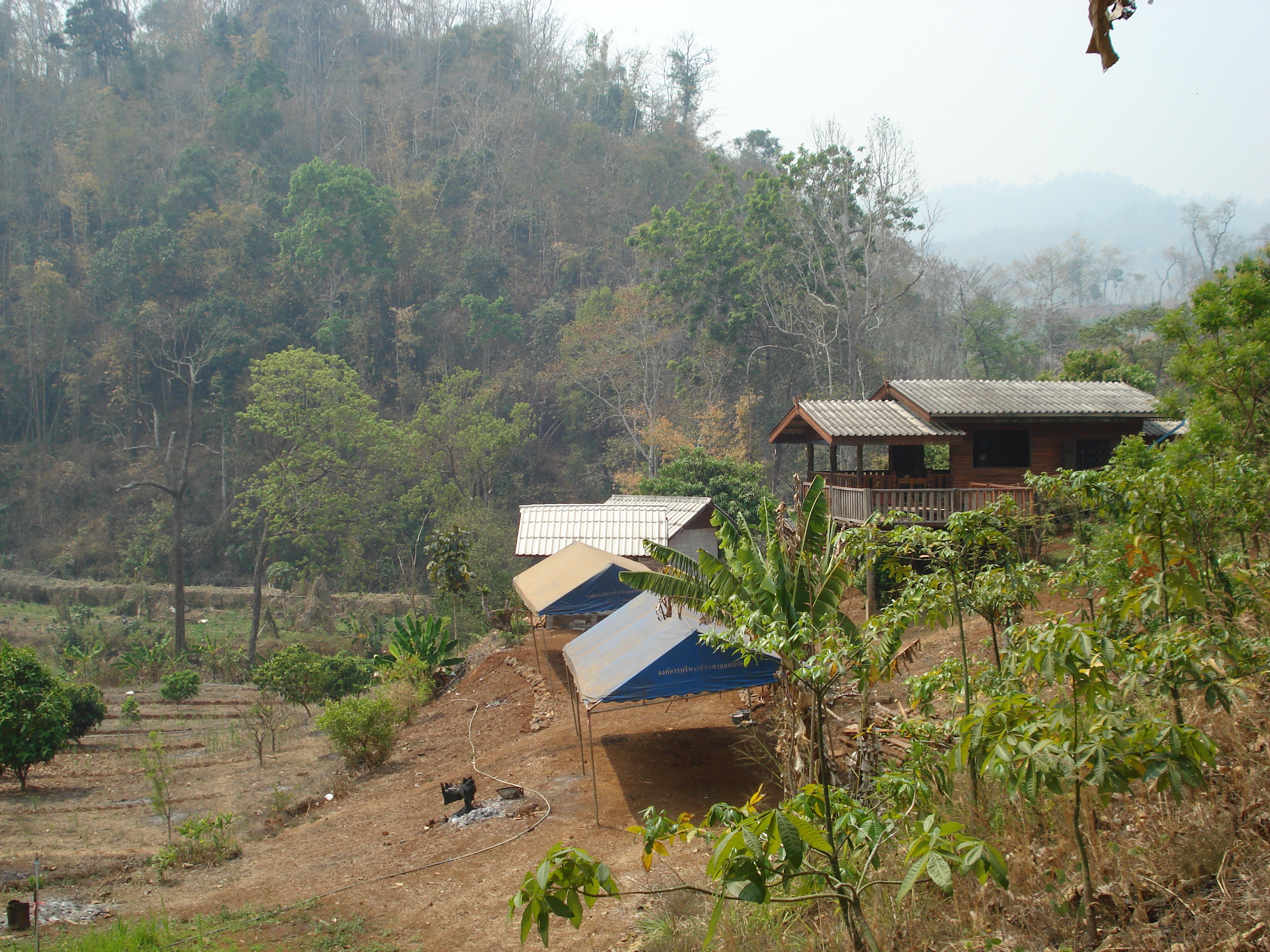 รูปถ่าย ไทย(Thailand) ถนนจากปางมะผ้าไปปาย(Pang Mapha to Pai road) 2007-02 87