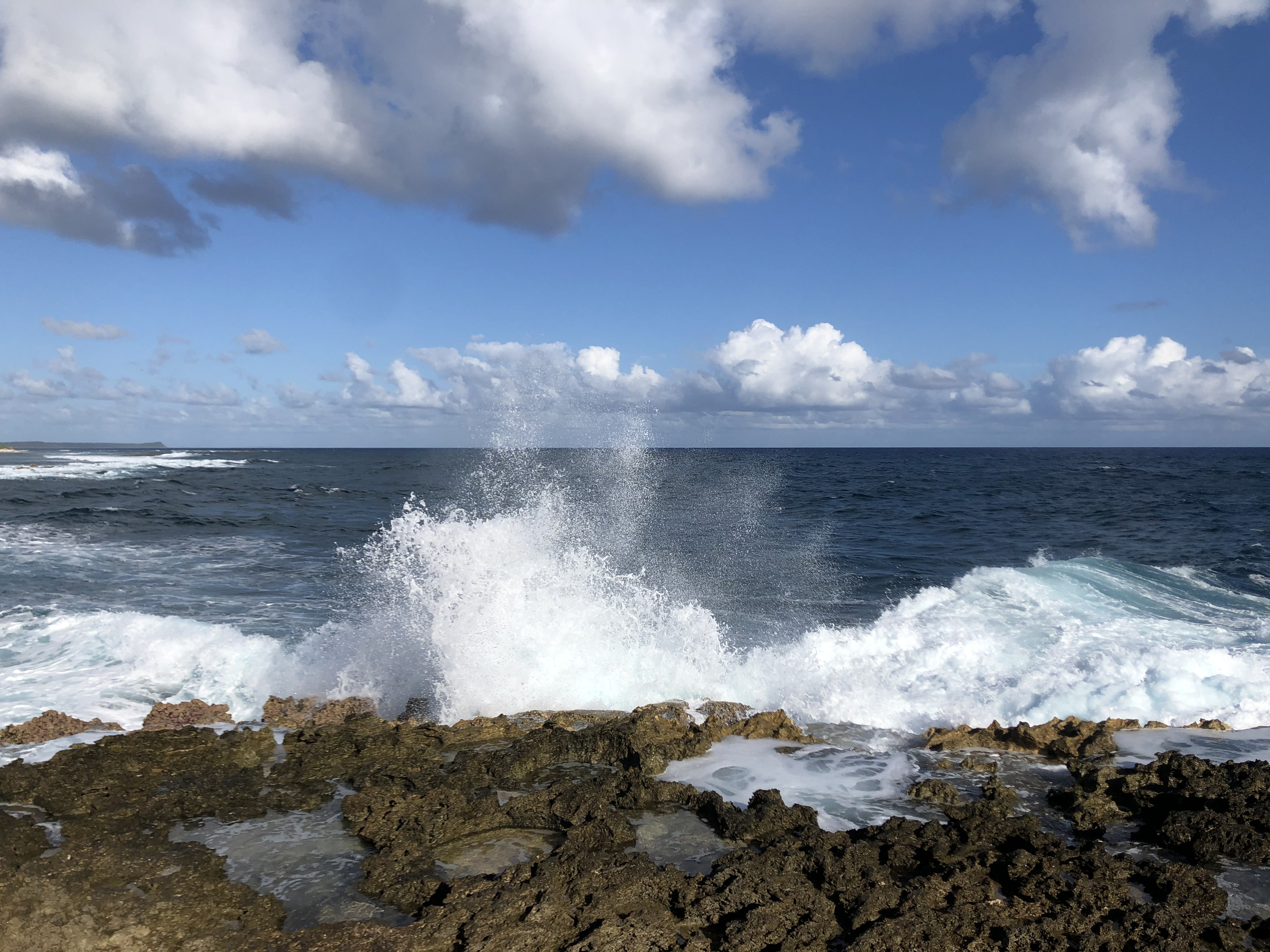 รูปถ่าย กวาเดอลูป(Guadeloupe) แหลมคาสเซิลพอยต์(Castle Point) 2021-02 166