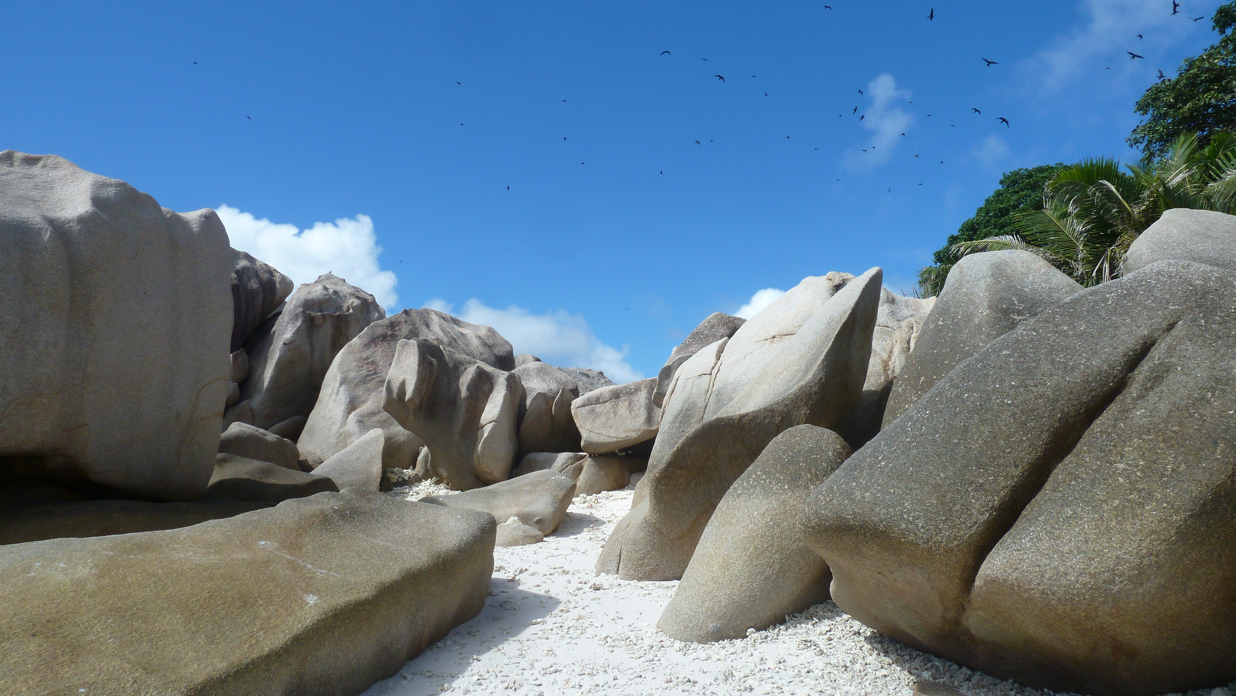 รูปถ่าย เซเชลส์(Seychelles) 2011-10 3