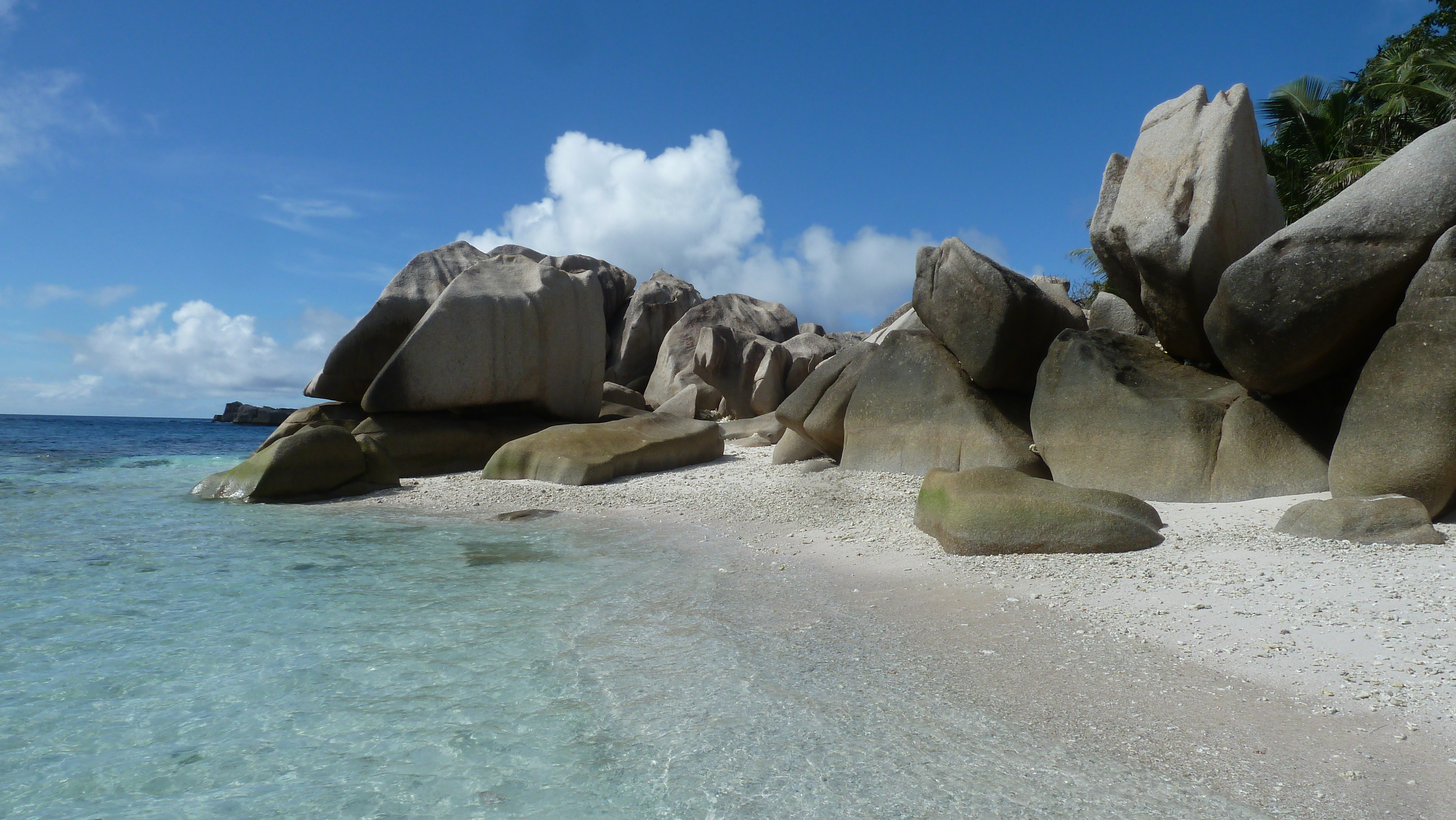 รูปถ่าย เซเชลส์(Seychelles) เกาะโกโก้(Coco Island) 2011-10 4