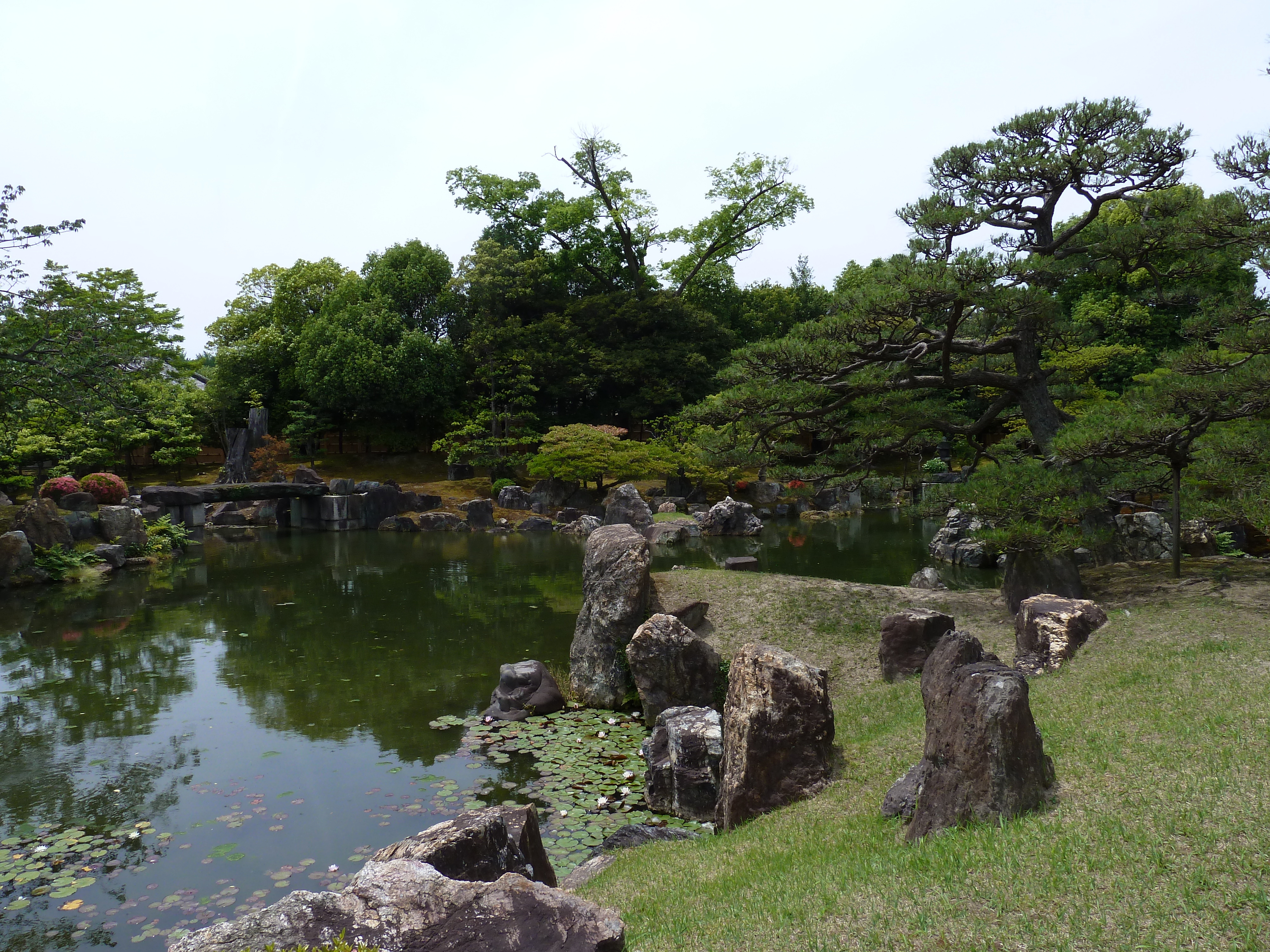 รูปถ่าย ญี่ปุ่น(Japan) เกียวโต(Kyoto) ปราสาทนิโจ(Nijo Castle) สวนนิโนมะรุ(Ninomaru Garden) 2010-06 21