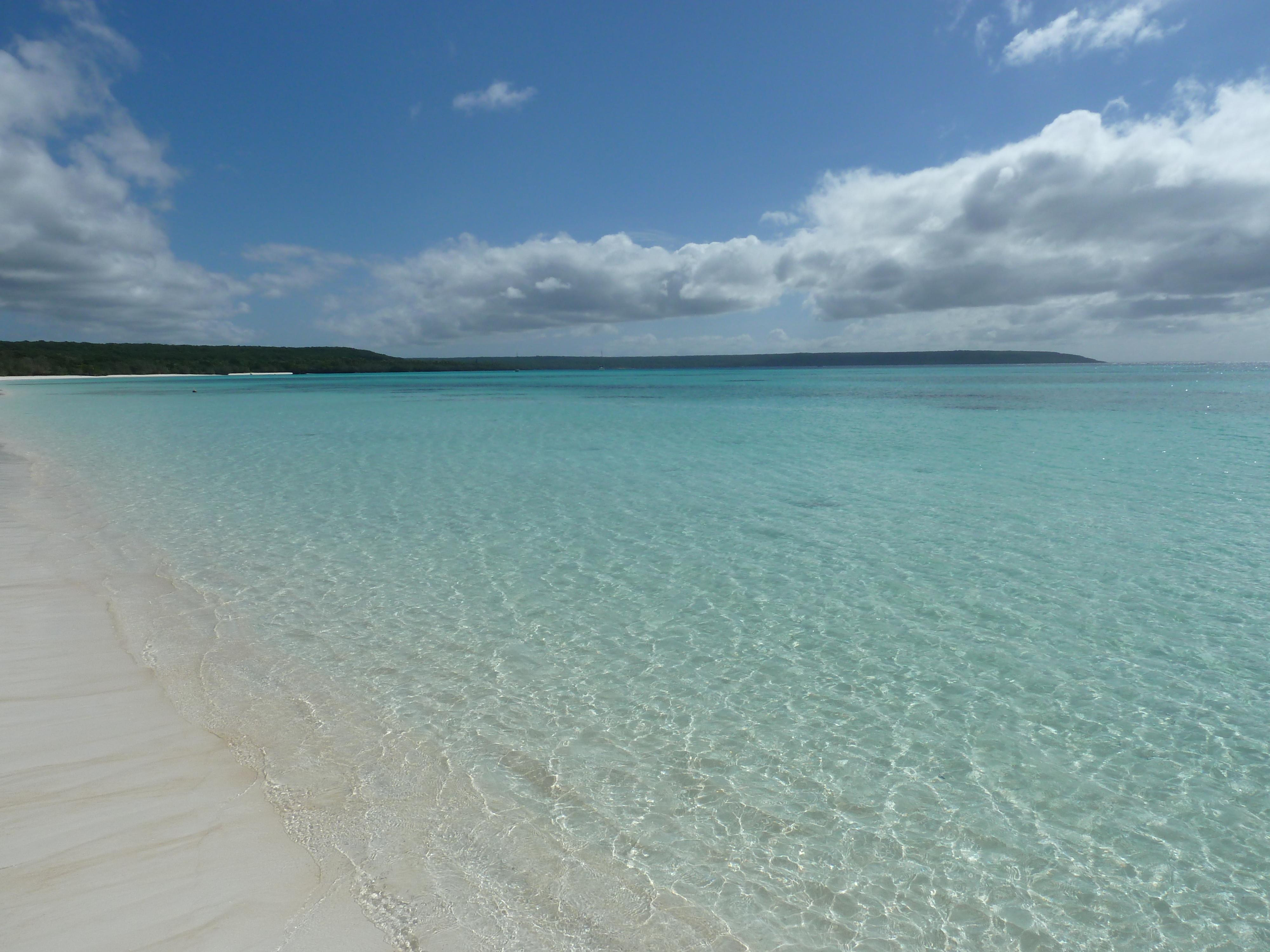 รูปถ่าย นิวแคลิโดเนีย(New Caledonia) เกาะลีฟู(Lifou) หาดลูเอ็งโกนี(Luengoni Beach) 2010-05 39