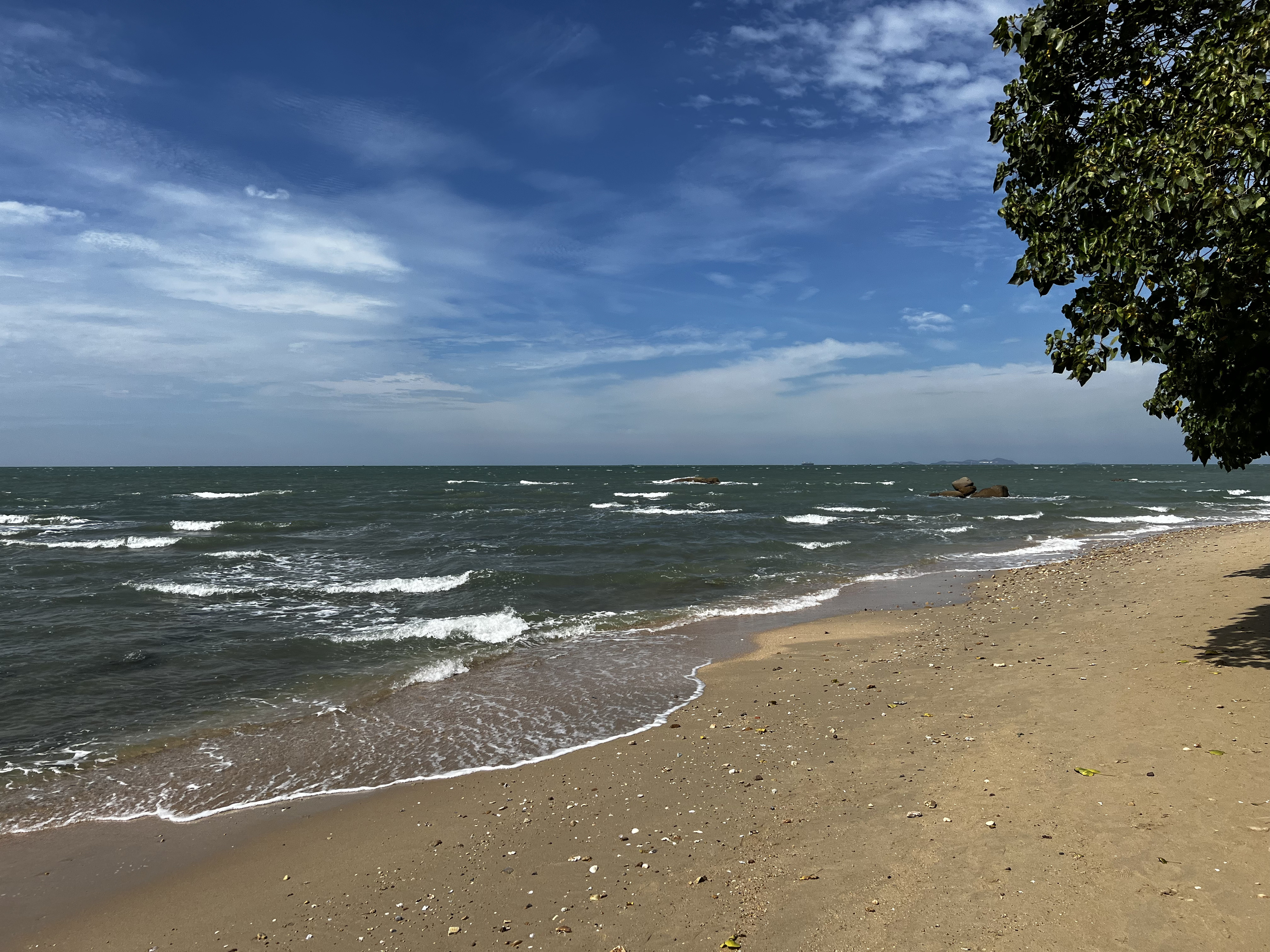 รูปถ่าย ไทย(Thailand) พัทยา(Pattaya) 2022-12 41