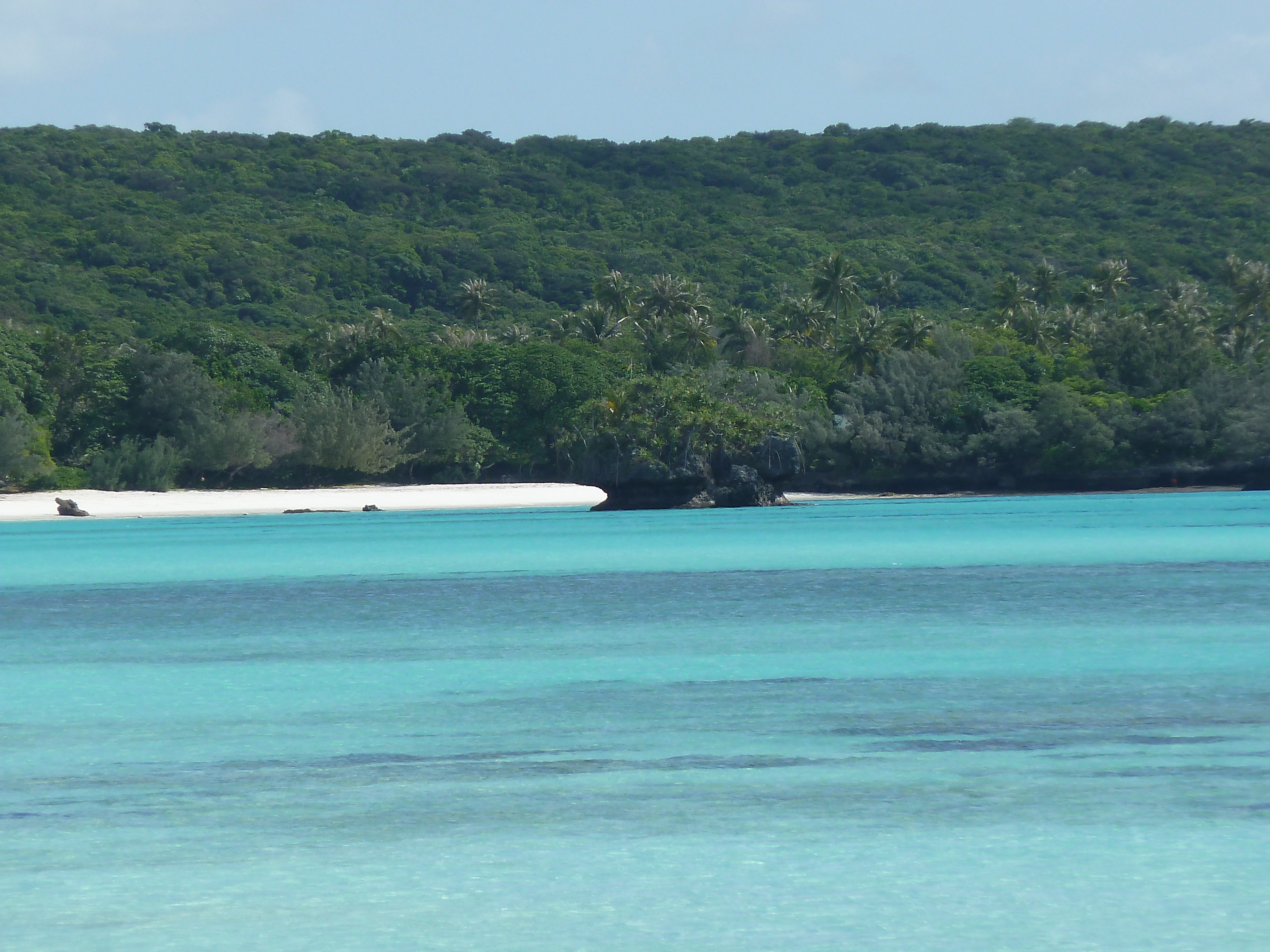 รูปถ่าย นิวแคลิโดเนีย(New Caledonia) เกาะลีฟู(Lifou) หาดลูเอ็งโกนี(Luengoni Beach) 2010-05 4