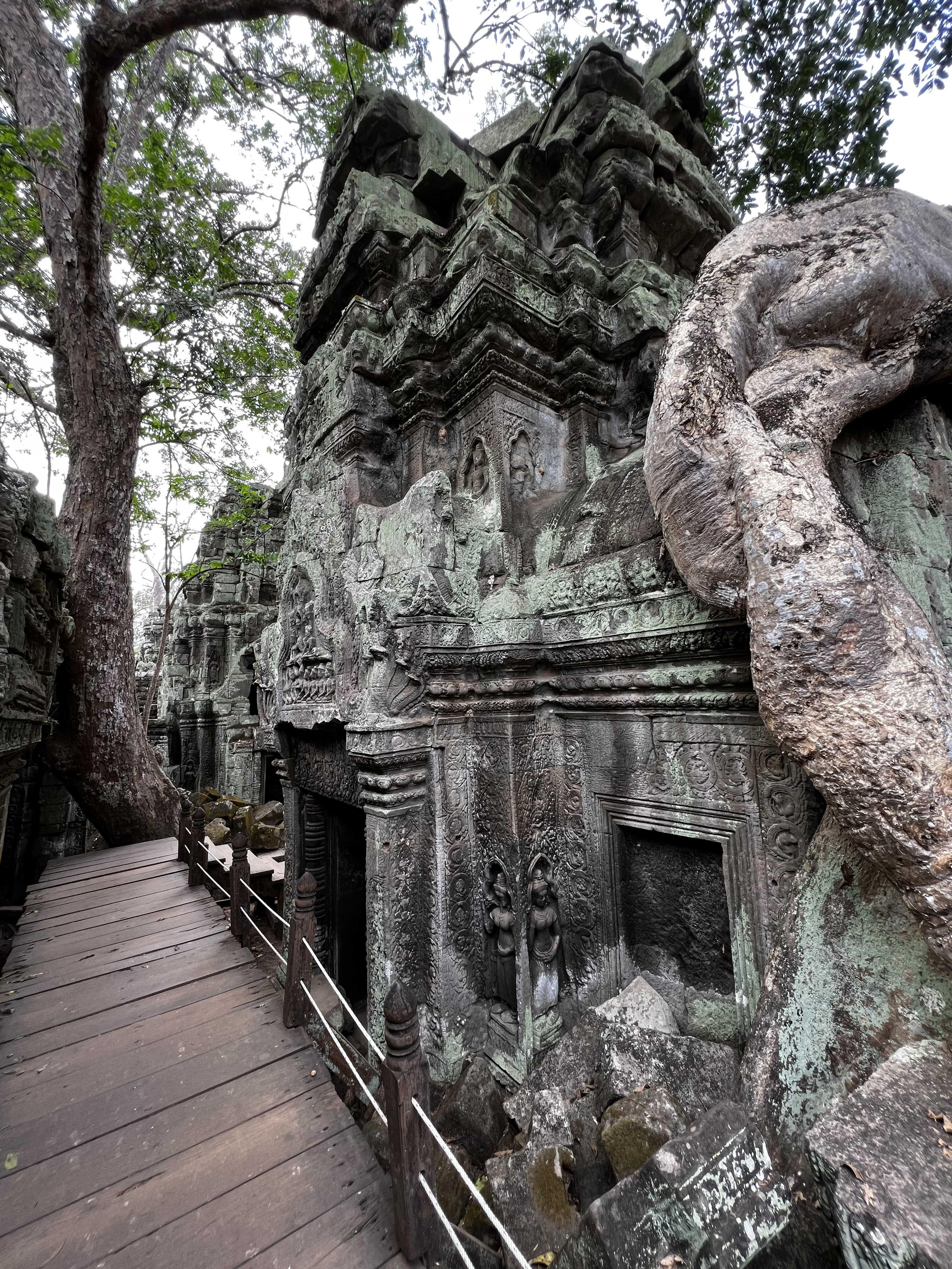 รูปถ่าย กัมพูชา(Cambodia) เสียมราฐ(Siem Reap) ปราสาทตาพรหม(Ta Prohm) 2023-01 86