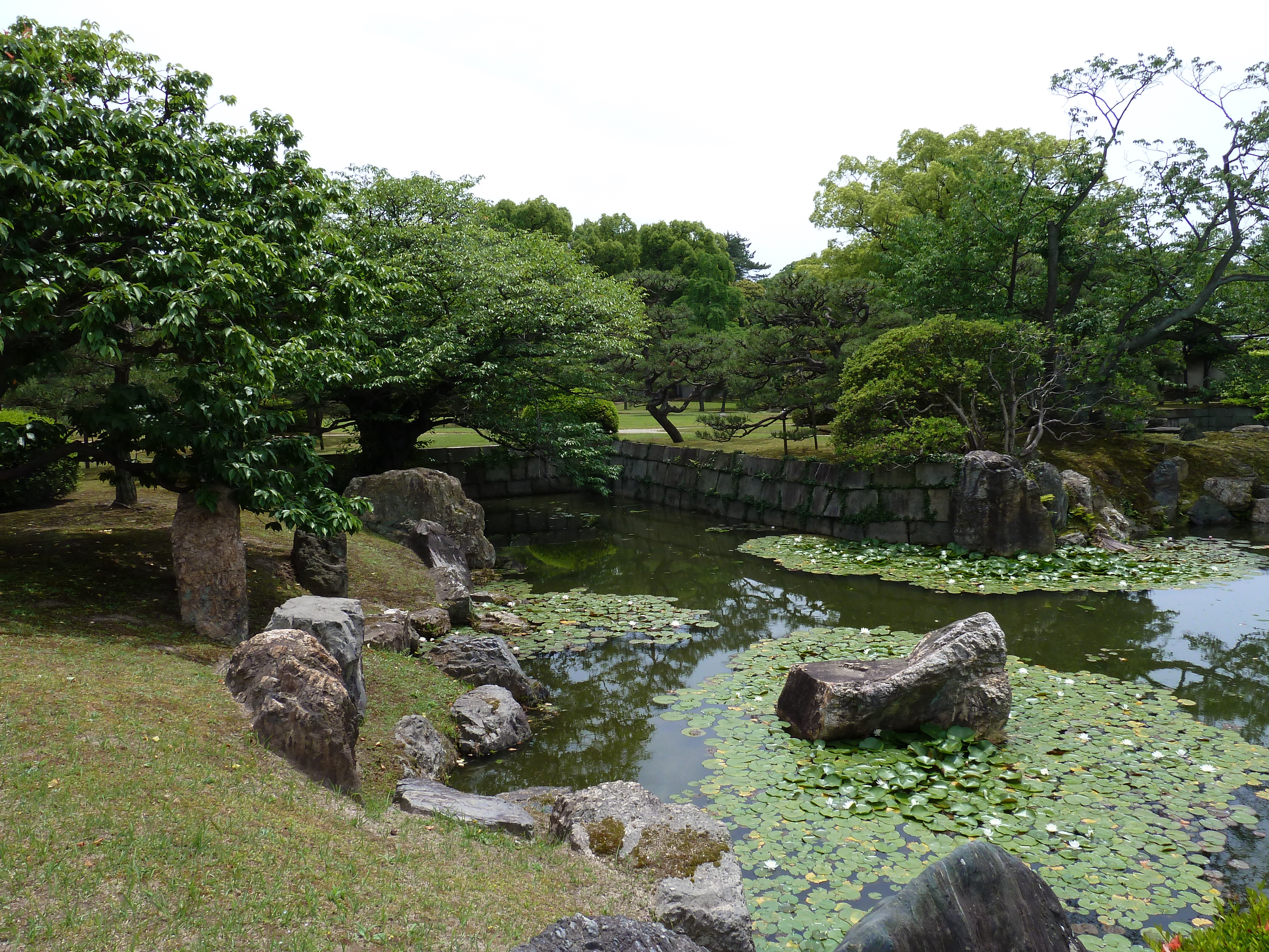 รูปถ่าย ญี่ปุ่น(Japan) เกียวโต(Kyoto) ปราสาทนิโจ(Nijo Castle) สวนนิโนมะรุ(Ninomaru Garden) 2010-06 24