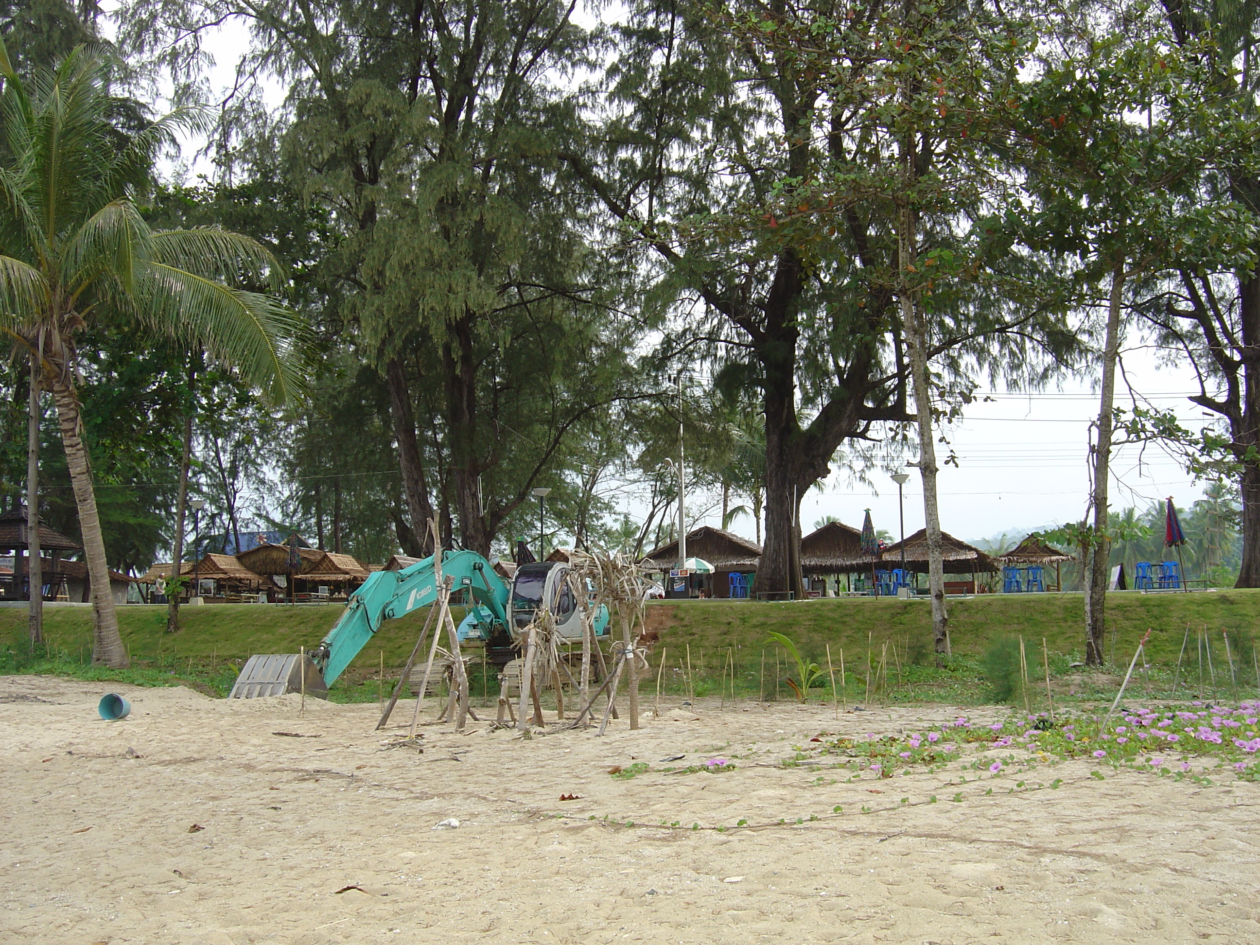 รูปถ่าย ไทย(Thailand) เขาหลัก(Khao Lak) หาดบางสัก(Bang Sak Beach) 2005-12 84