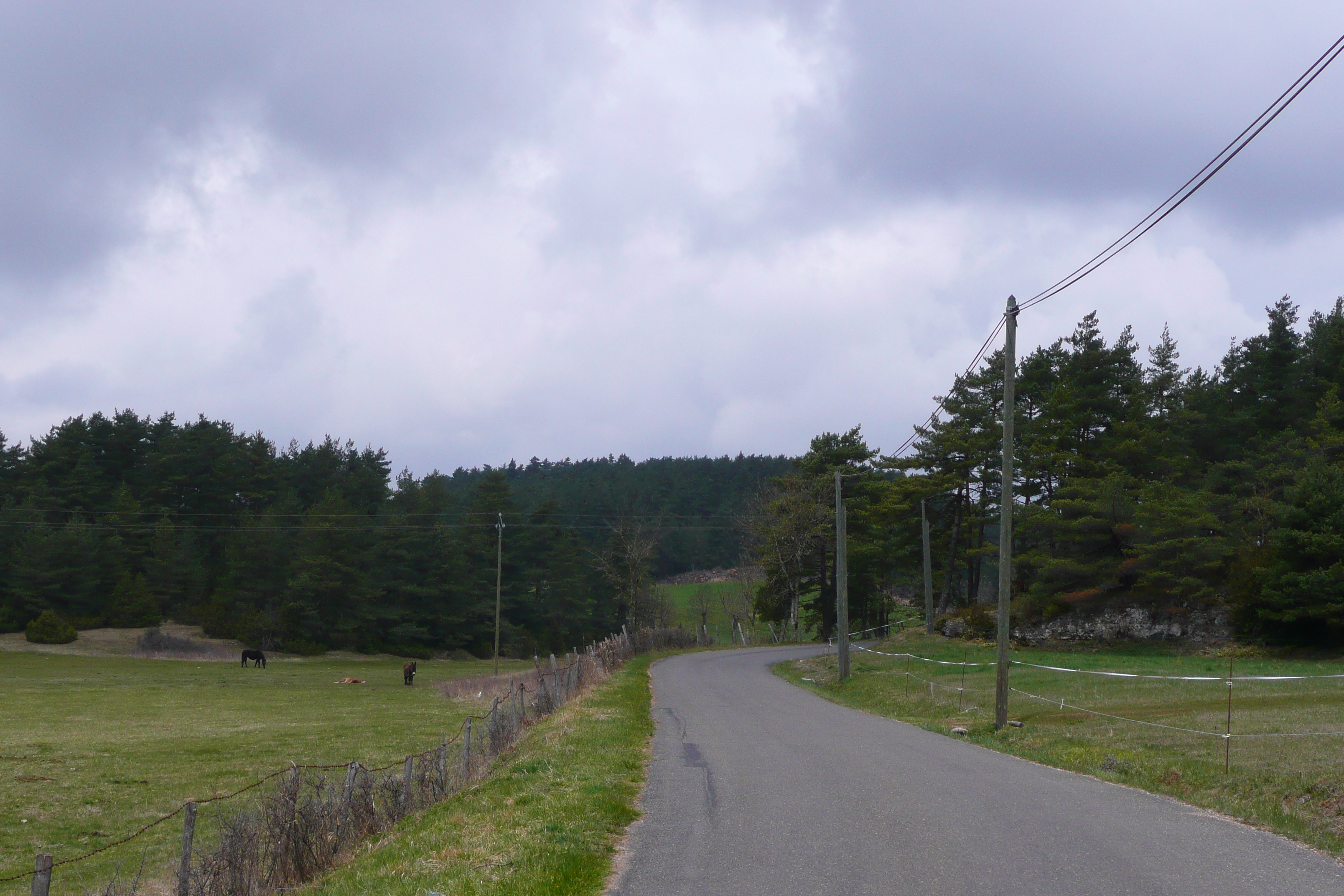 รูปถ่าย ฝรั่งเศส(France) โอบรัก(L'Aubrac) 2008-04 123