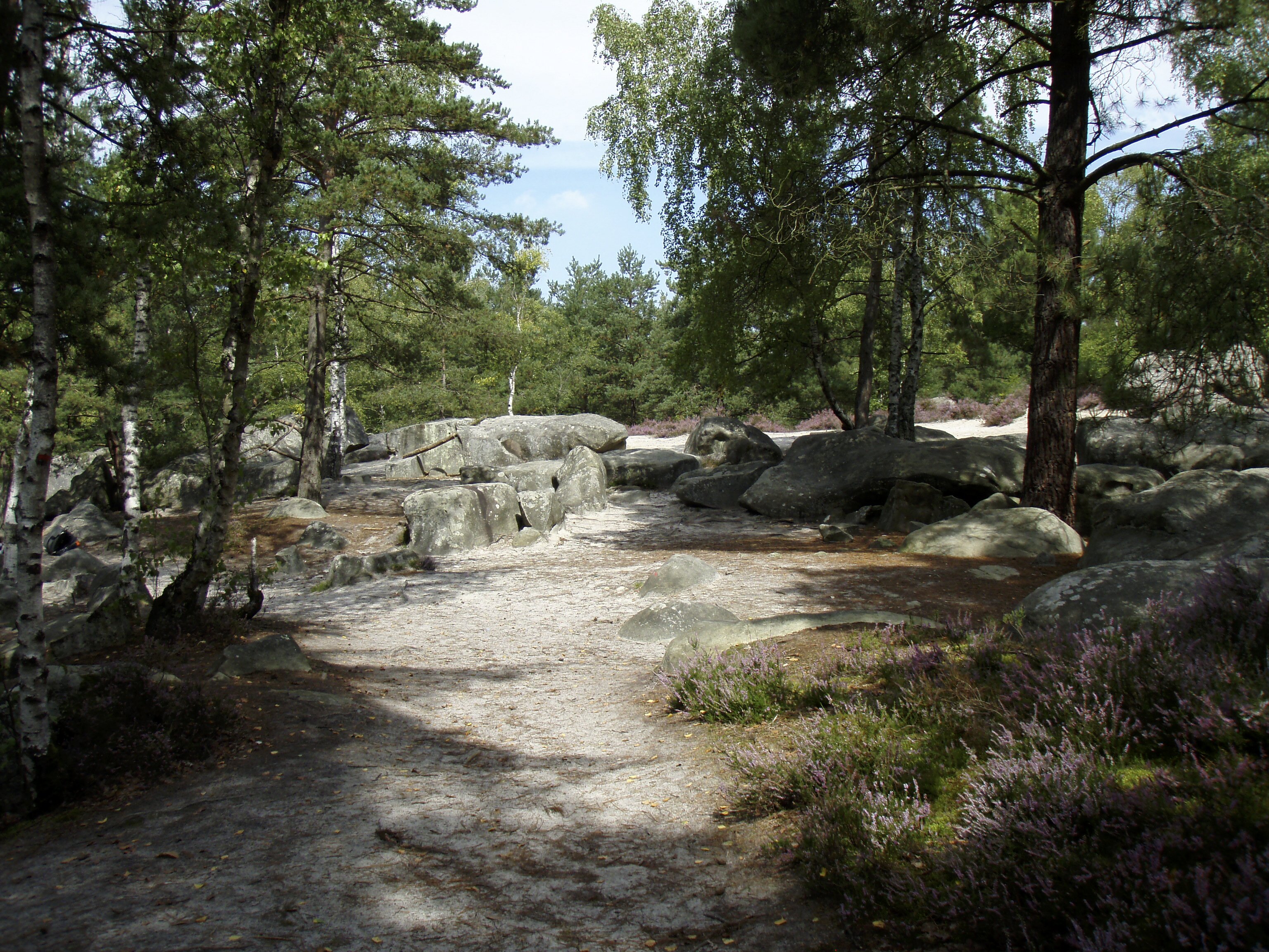 รูปถ่าย ฝรั่งเศส(France) ฟงเทนโบล(Fontainebleau) ทัวร์ป่า(Circuit des 25 bosses) 2007-08 134