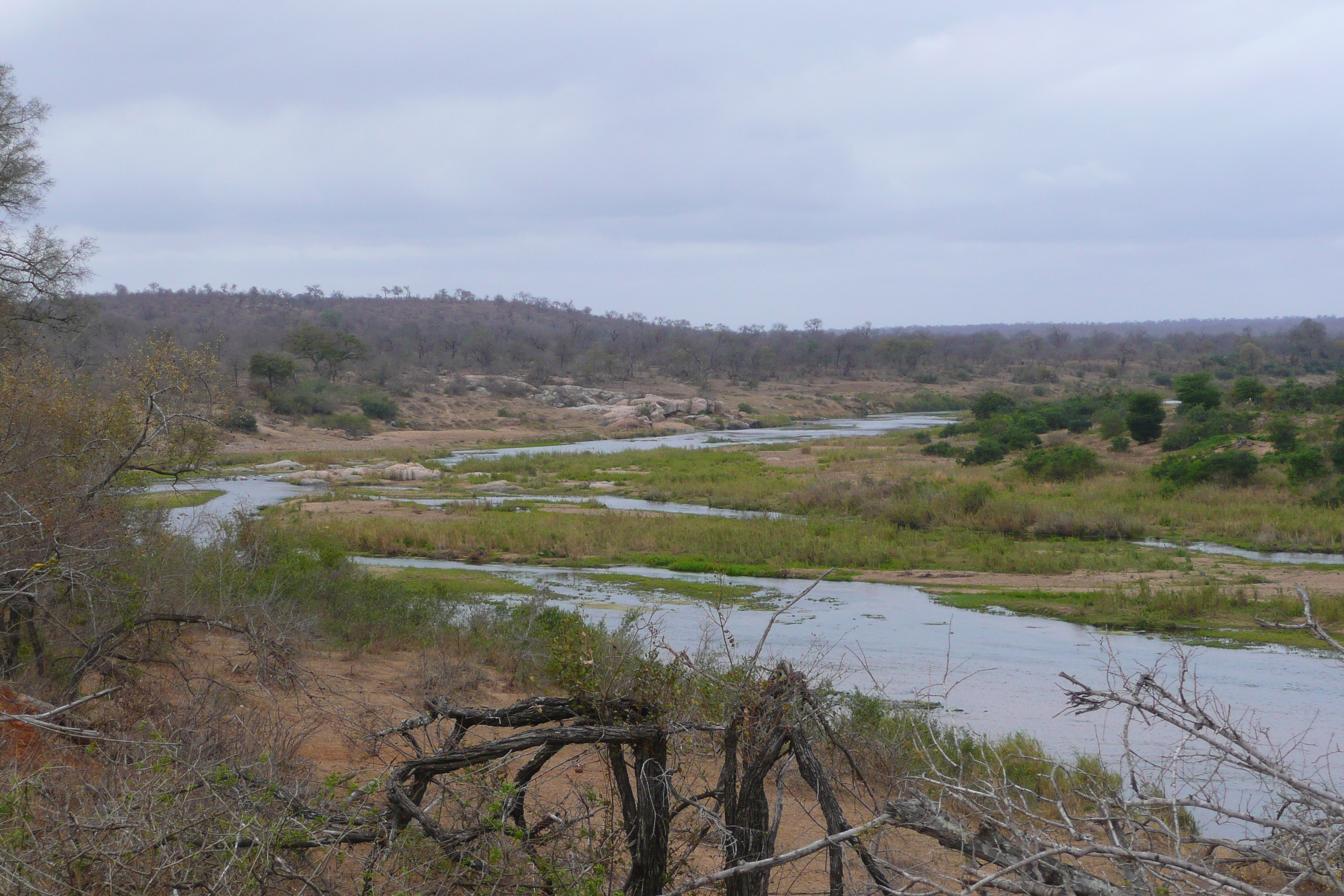 รูปถ่าย แอฟริกาใต้(South Africa) อุทยานแห่งชาติครูเกอร์(Kruger National Park) แม่น้ำครอกโคไดล์(Crocodile River) 2008-09 54