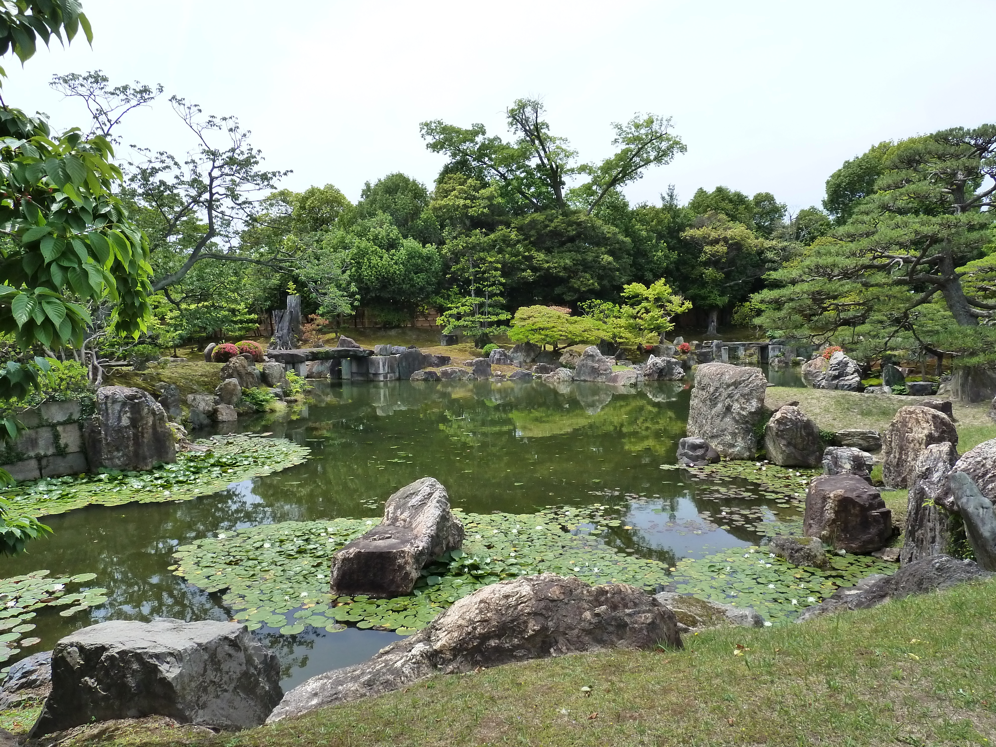 รูปถ่าย ญี่ปุ่น(Japan) เกียวโต(Kyoto) ปราสาทนิโจ(Nijo Castle) สวนนิโนมะรุ(Ninomaru Garden) 2010-06 18