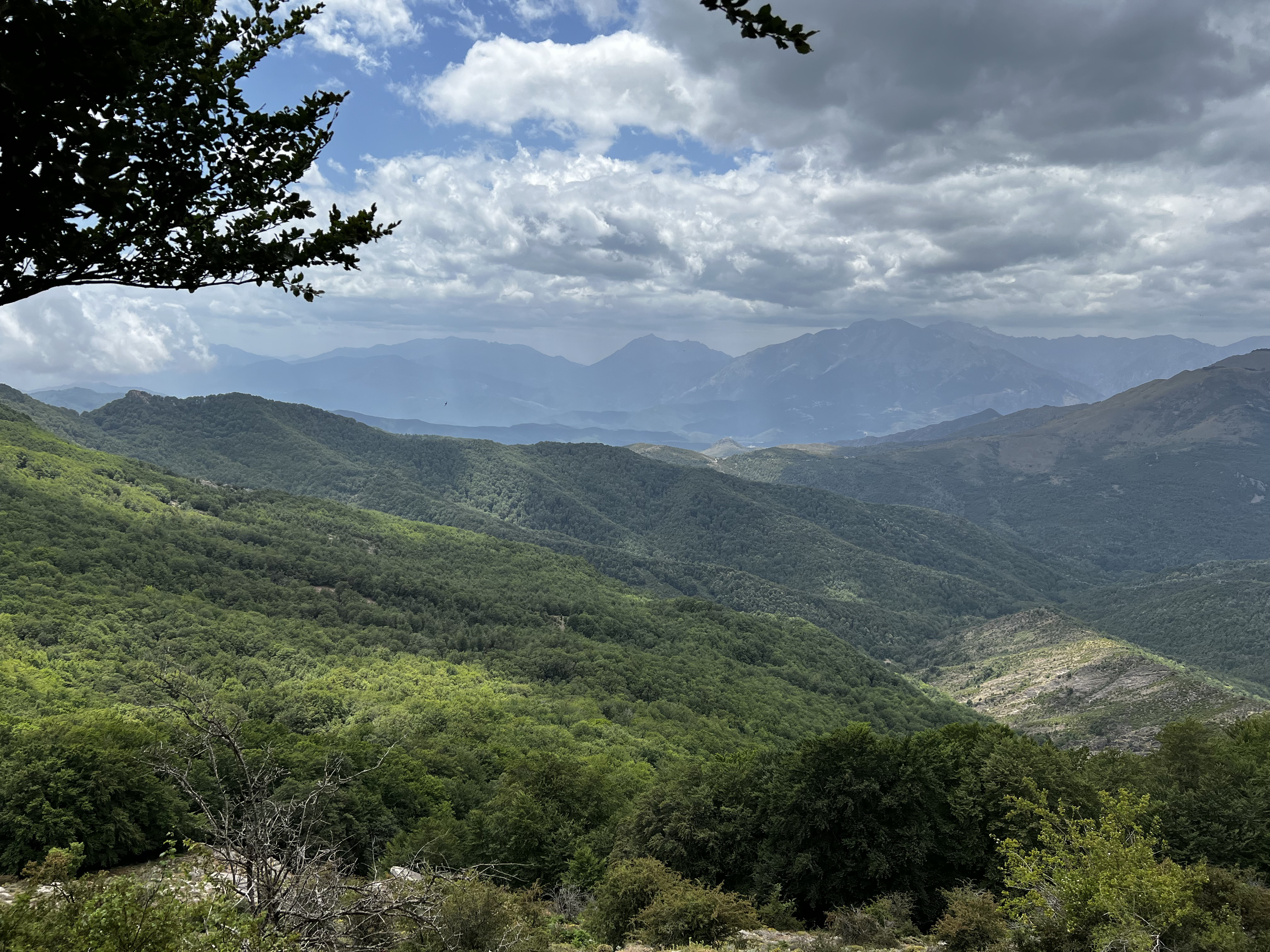 รูปถ่าย ฝรั่งเศส(France) คอร์สิคา(Corsica) ที่พักกัลเลรุชชู(Refuge de Callerucciu) 2022-06 1