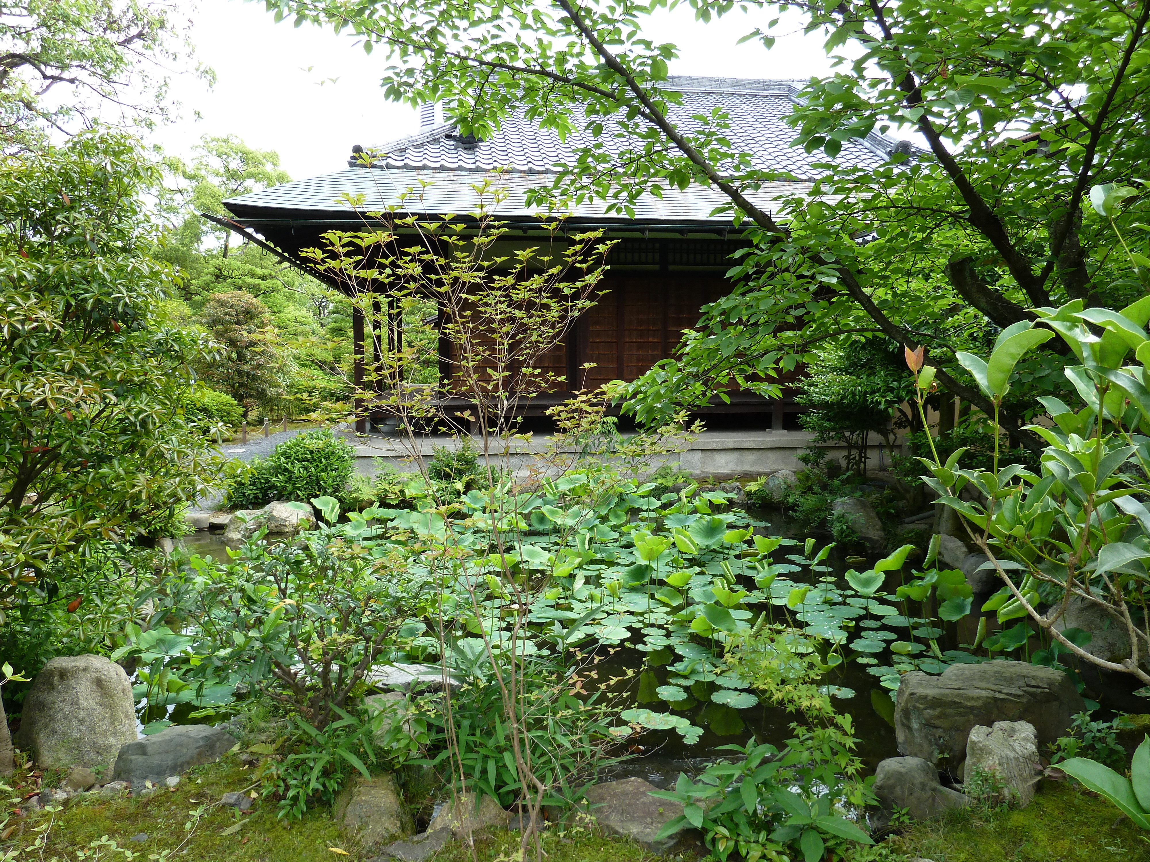 รูปถ่าย ญี่ปุ่น(Japan) เกียวโต(Kyoto) สวนโชเซเอ็ง(Shosei en Garden) 2010-06 15