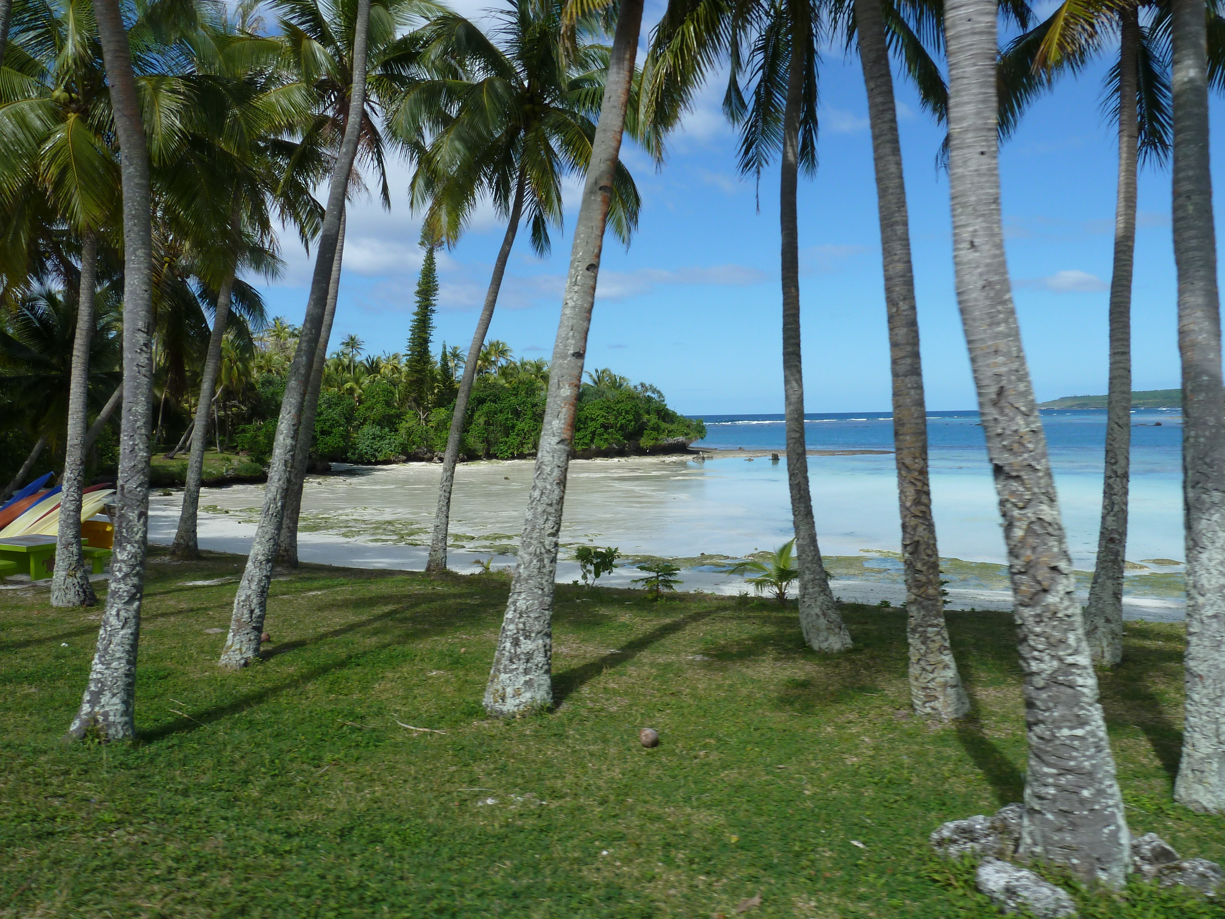 รูปถ่าย นิวแคลิโดเนีย(New Caledonia) เกาะลีฟู(Lifou) 2010-05 28