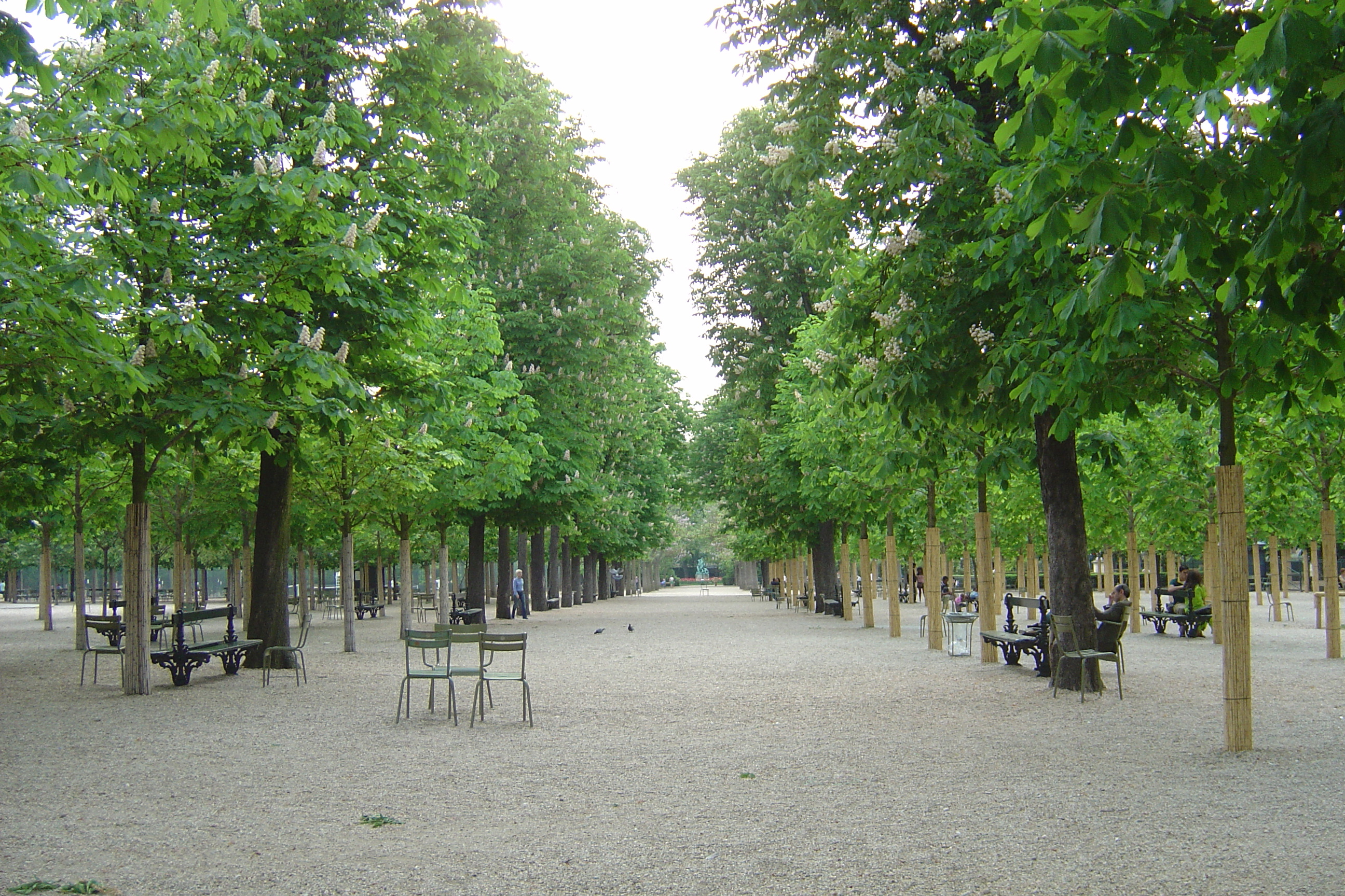 รูปถ่าย ฝรั่งเศส(France) ปารีส(Paris) สวนลักเซมเบิร์ก(Luxembourg Garden) 2007-04 94