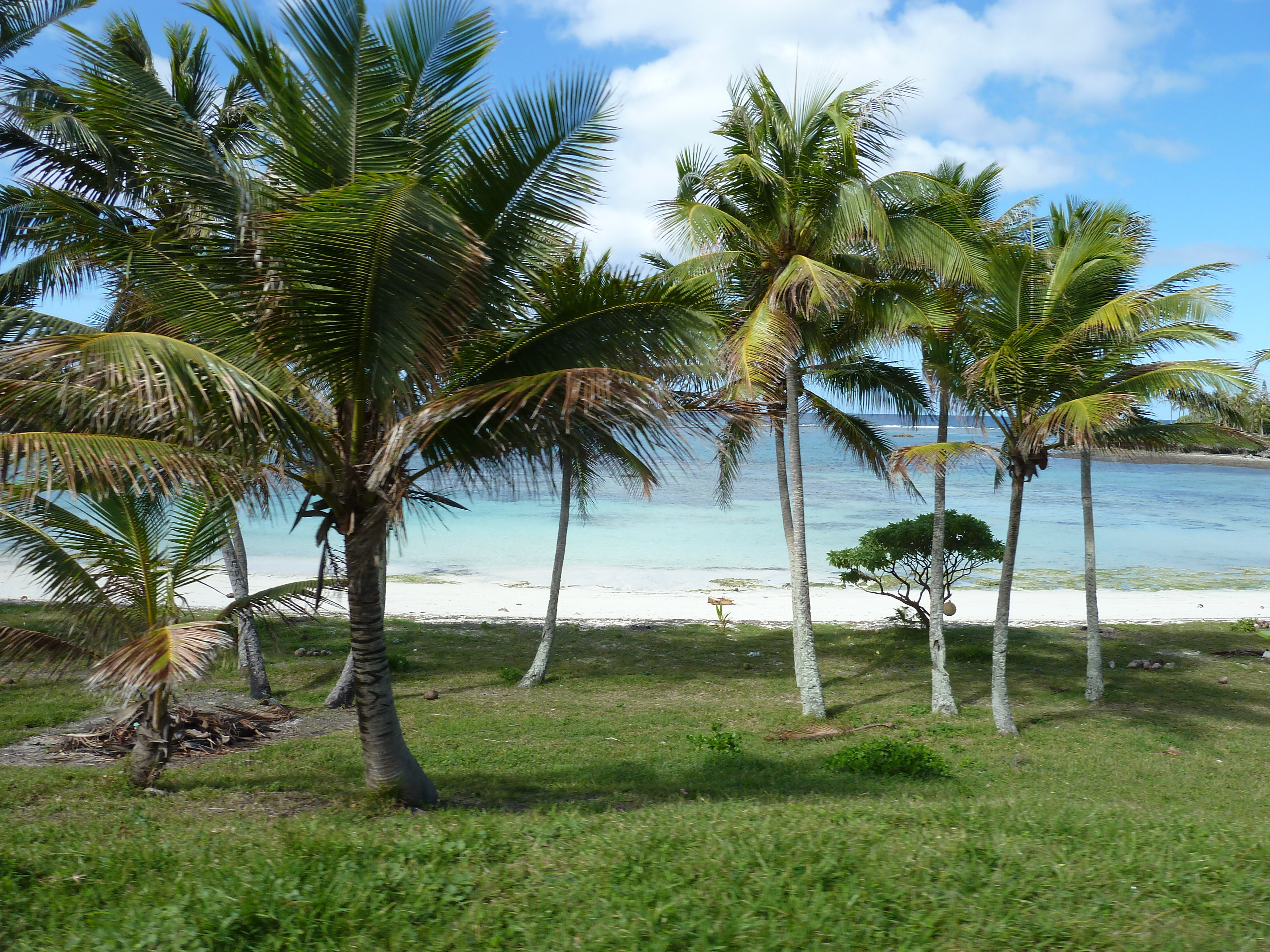 รูปถ่าย นิวแคลิโดเนีย(New Caledonia) เกาะลีฟู(Lifou) 2010-05 30