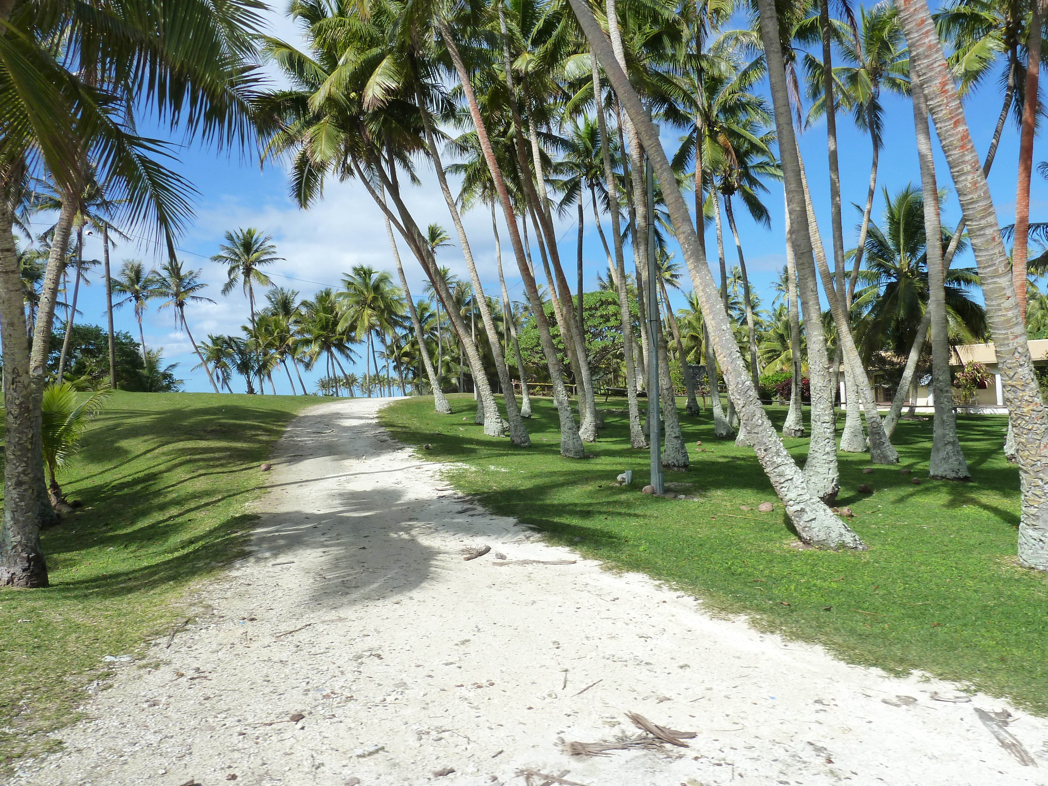 รูปถ่าย นิวแคลิโดเนีย(New Caledonia) เกาะลีฟู(Lifou) 2010-05 19