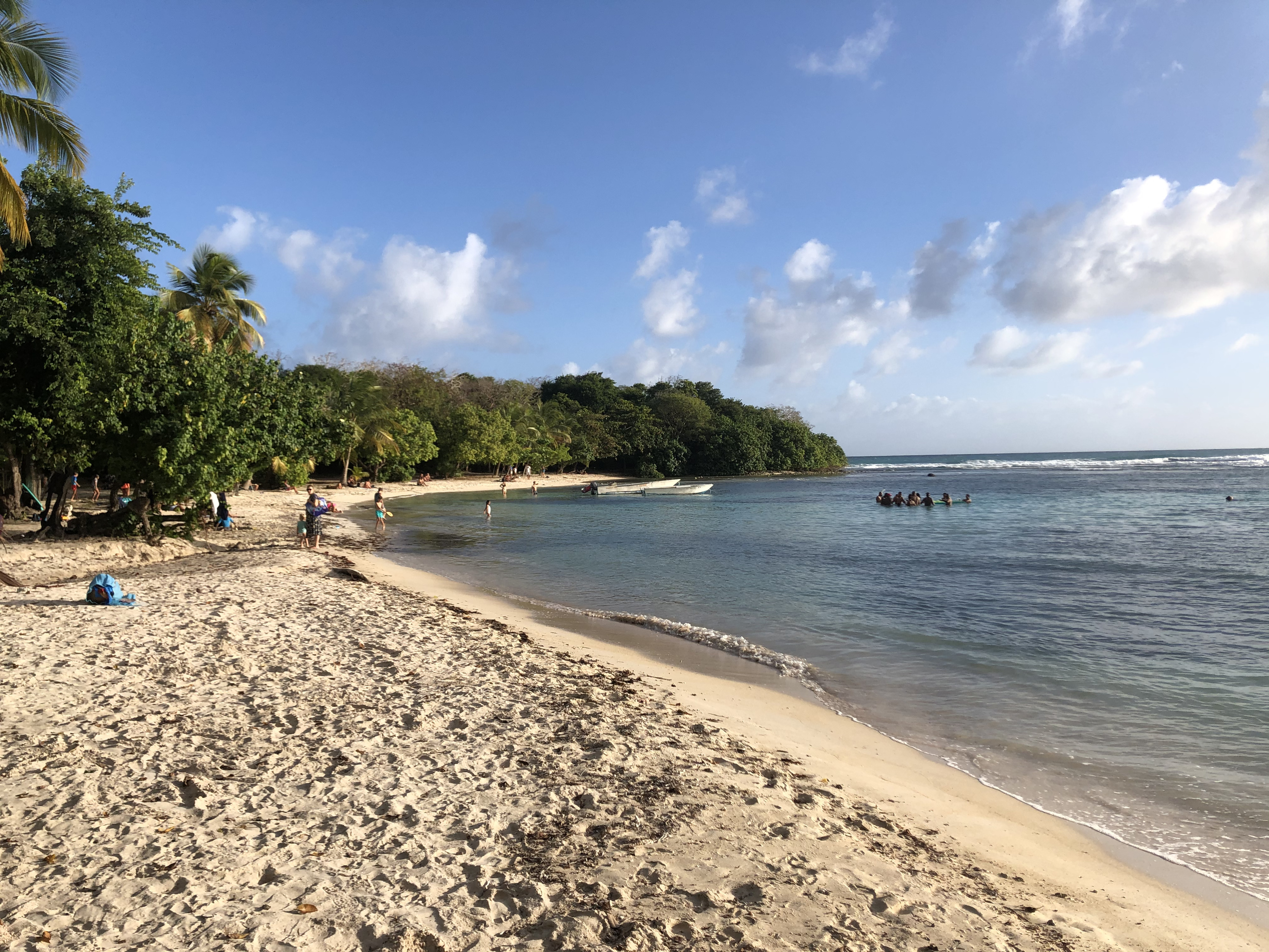 รูปถ่าย กวาเดอลูป(Guadeloupe) หาดปตีอาฟวร์(Petit Havre Beach) 2021-02 3