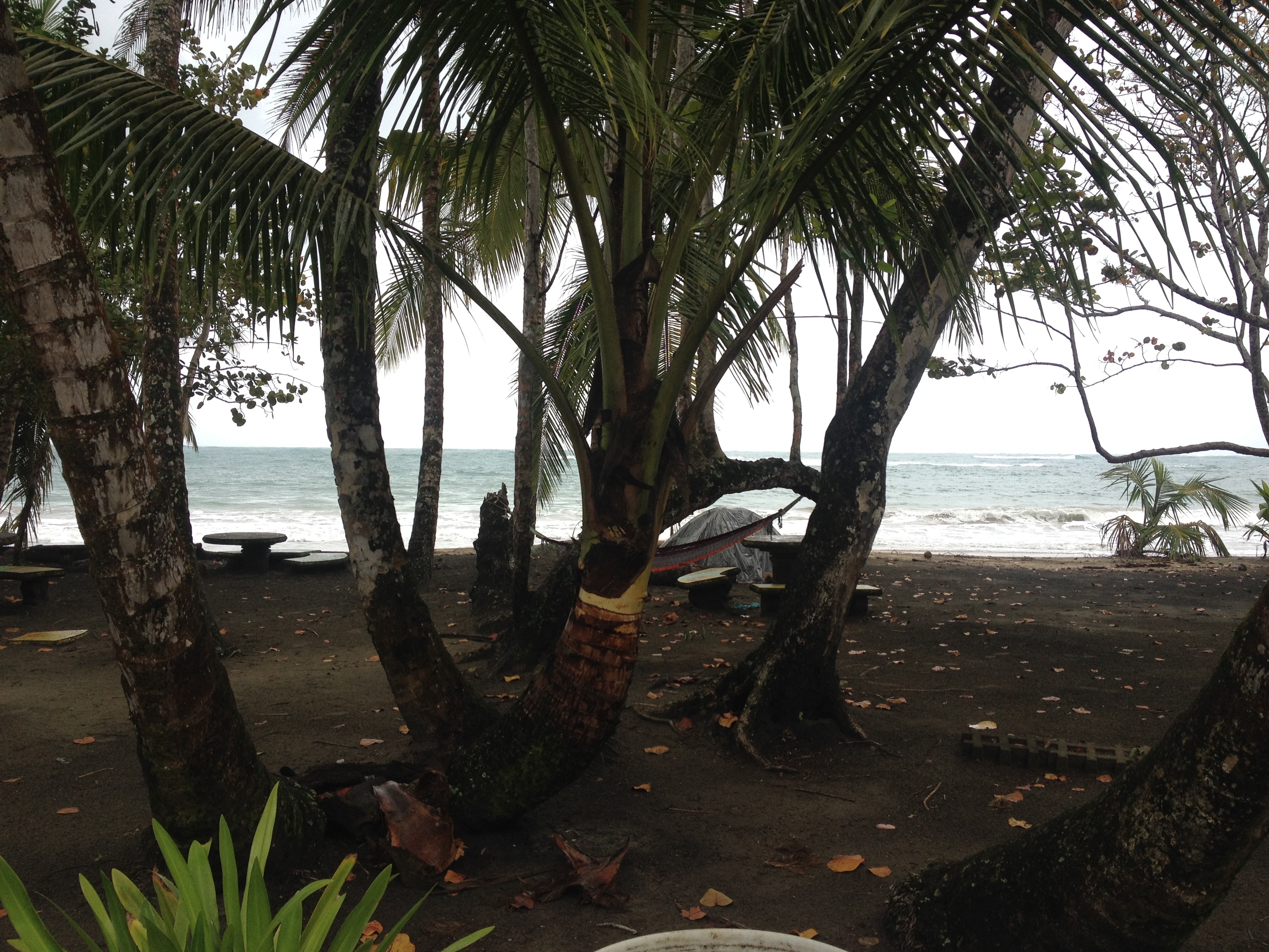 รูปถ่าย คอสตาริกา(Costa Rica) ปวยร์โตเบียโฆเดตาลามังกา(Puerto Viejo de Talamanca) 2015-03 76