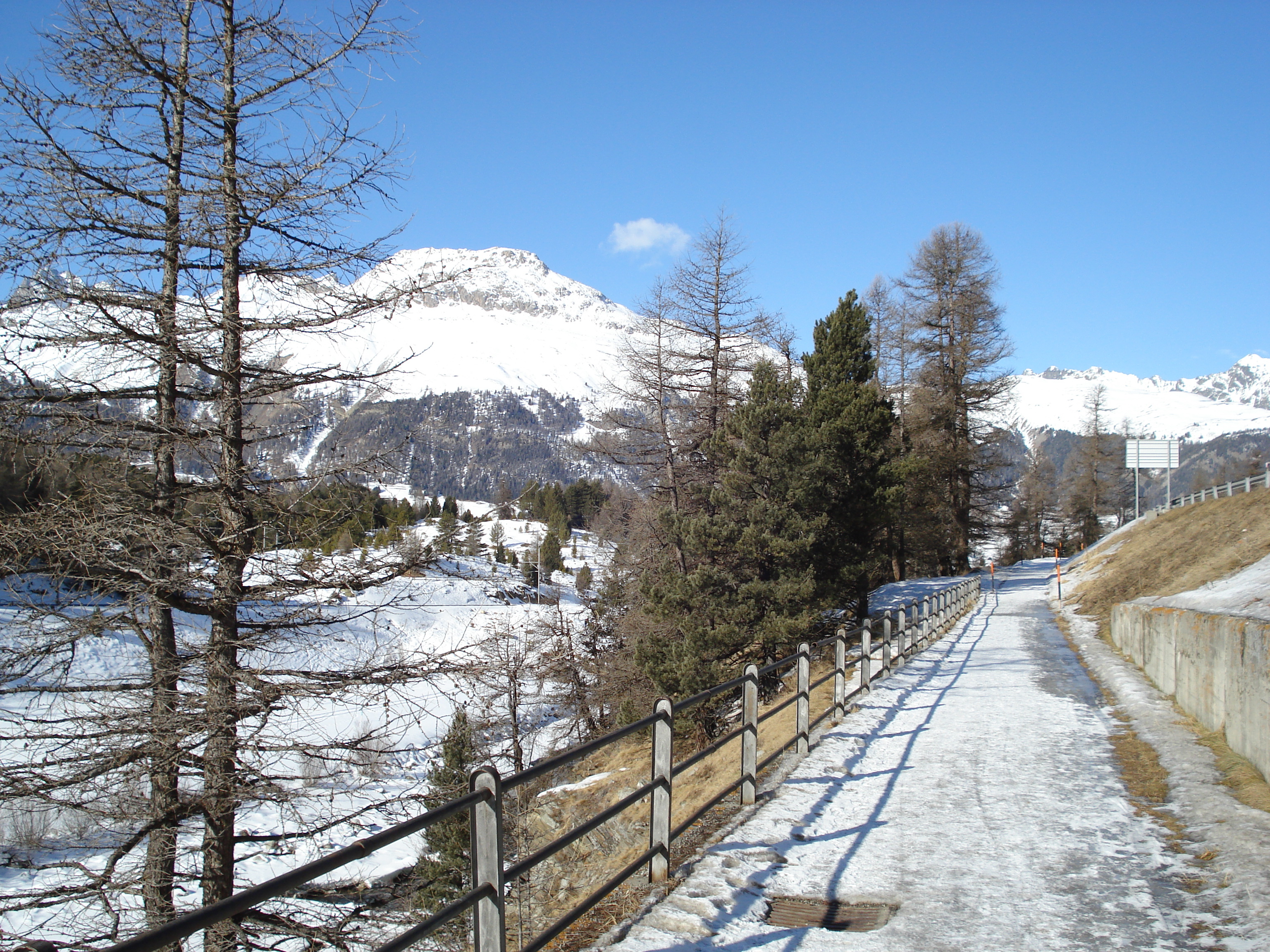 รูปถ่าย สวิสเซอร์แลนด์(Switzerland) ปองเทรซีน่า(Pontresina) 2007-01 126