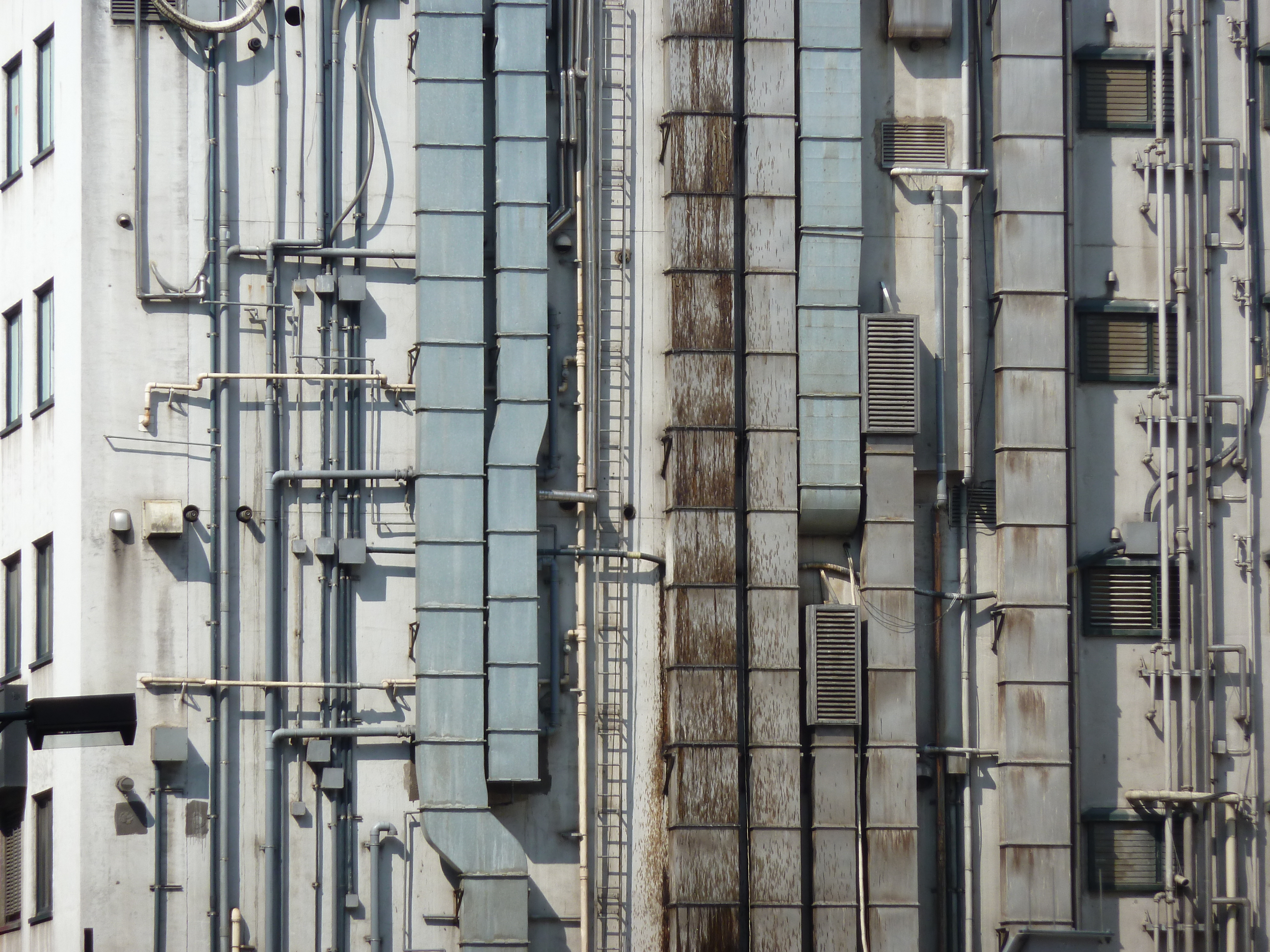 รูปถ่าย ญี่ปุ่น(Japan) โตเกียว(Tokyo) 2010-06 66