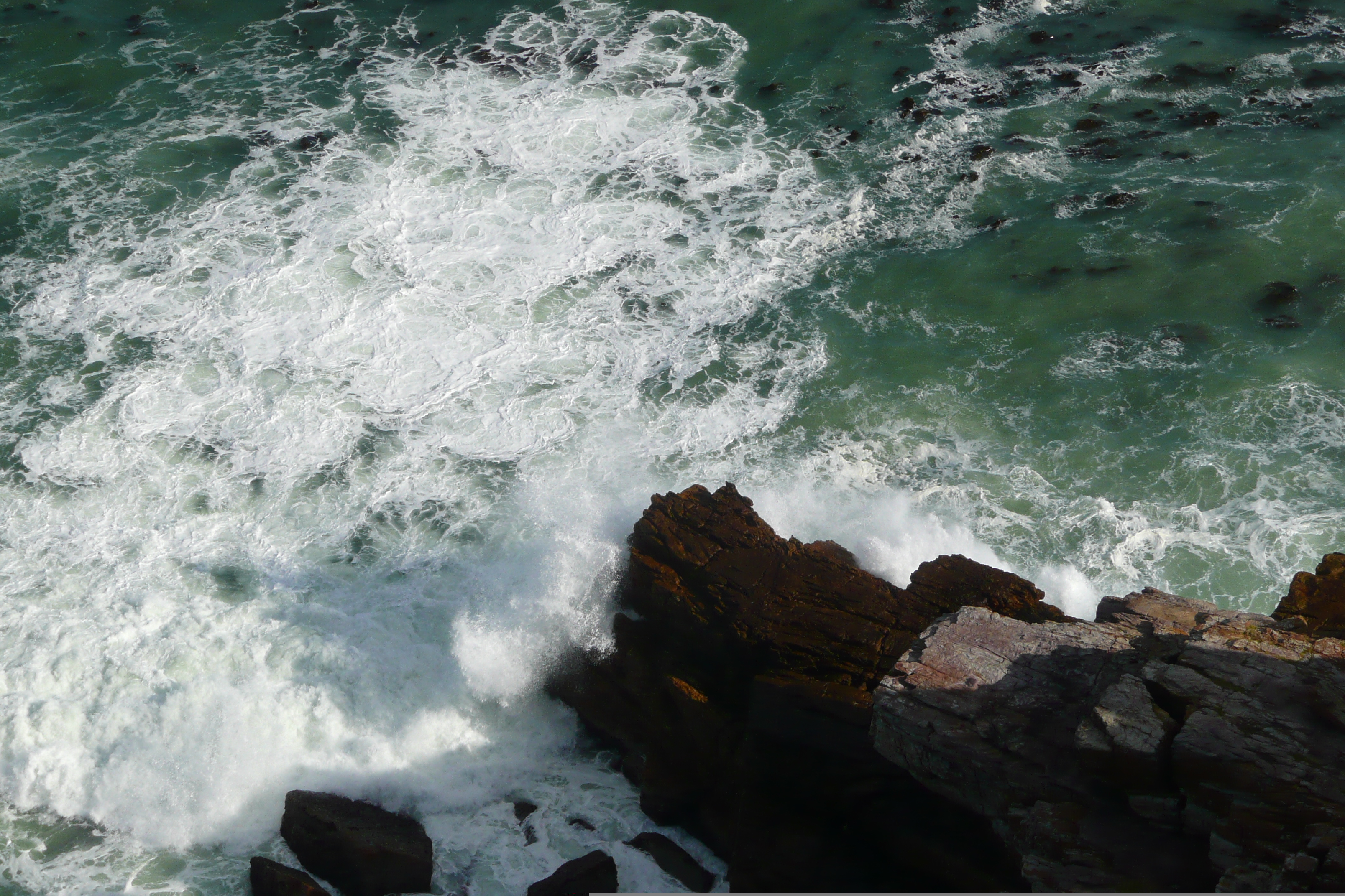 รูปถ่าย แอฟริกาใต้(South Africa) แหลมกู๊ดโฮป(Cape of Good Hope) แหลมเคปพอยต์(Cape Point) 2008-09 30