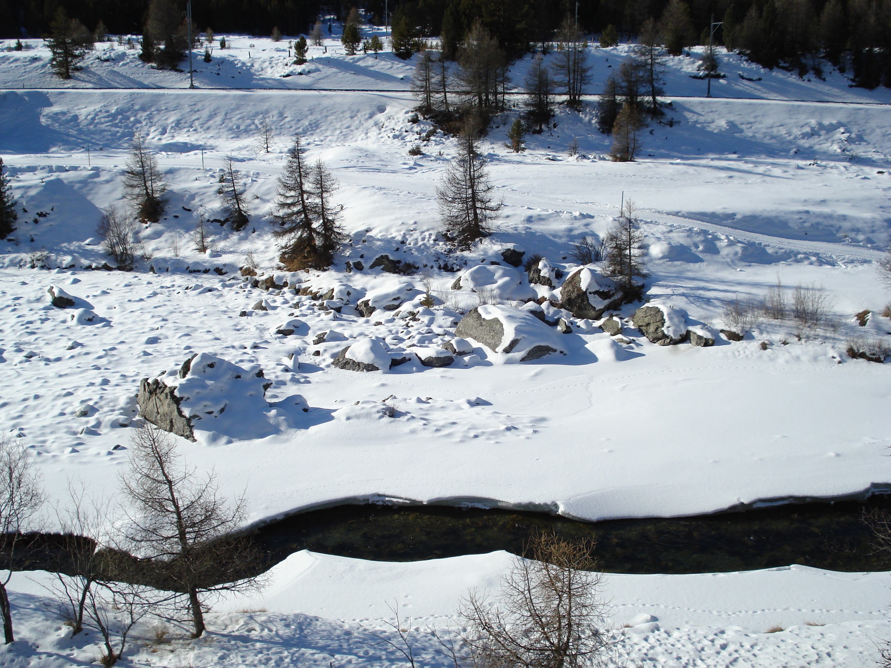 รูปถ่าย สวิสเซอร์แลนด์(Switzerland) ปองเทรซีน่า(Pontresina) 2007-01 29