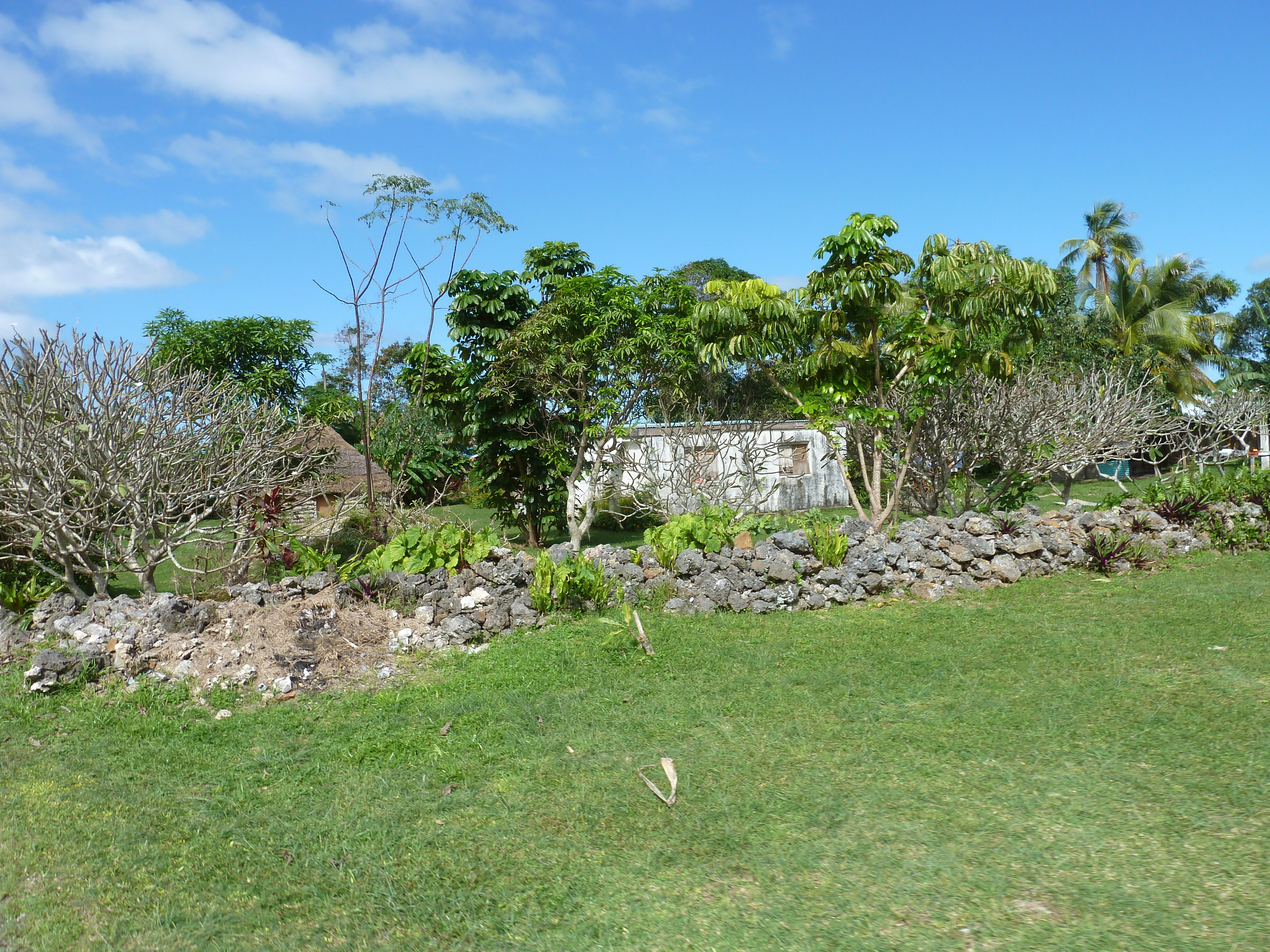 รูปถ่าย นิวแคลิโดเนีย(New Caledonia) เกาะลีฟู(Lifou) 2010-05 13