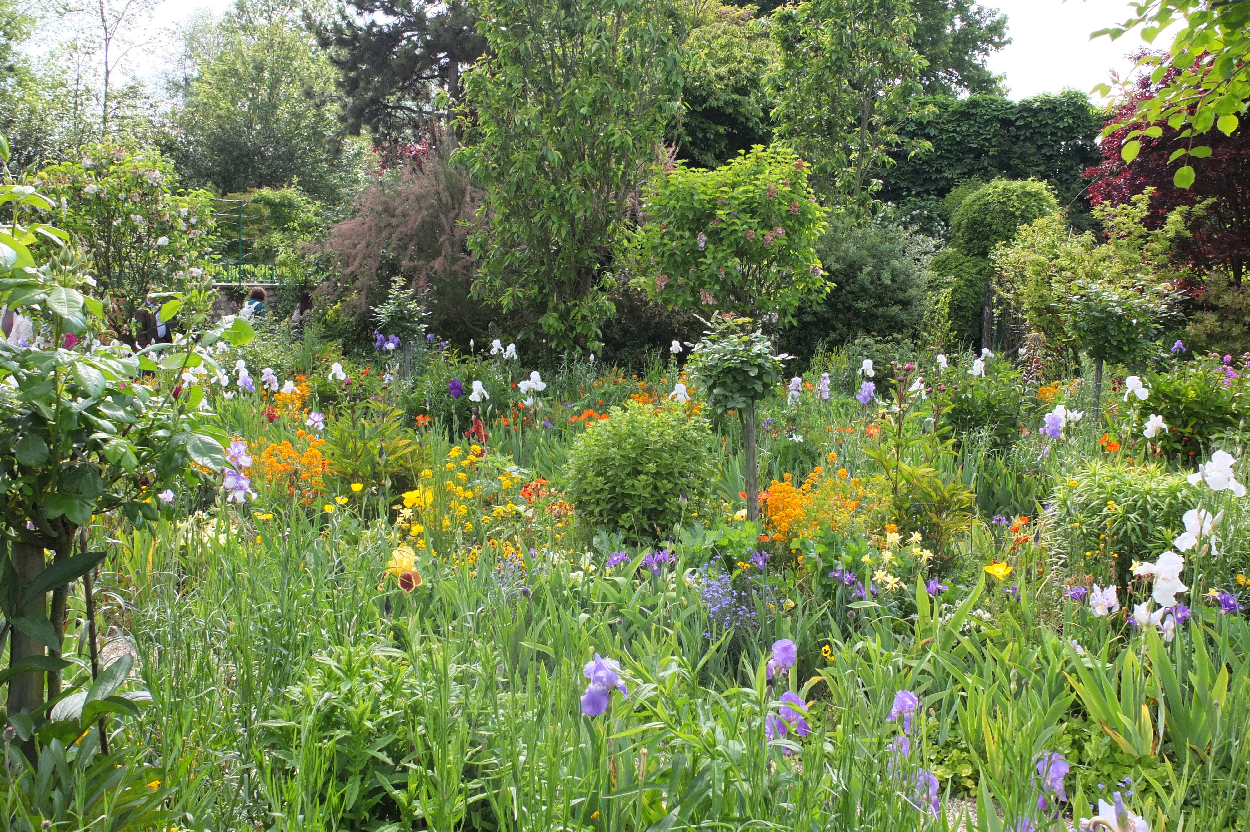 รูปถ่าย ฝรั่งเศส(France) ฌีแวร์นี(Giverny) 2013-06 57