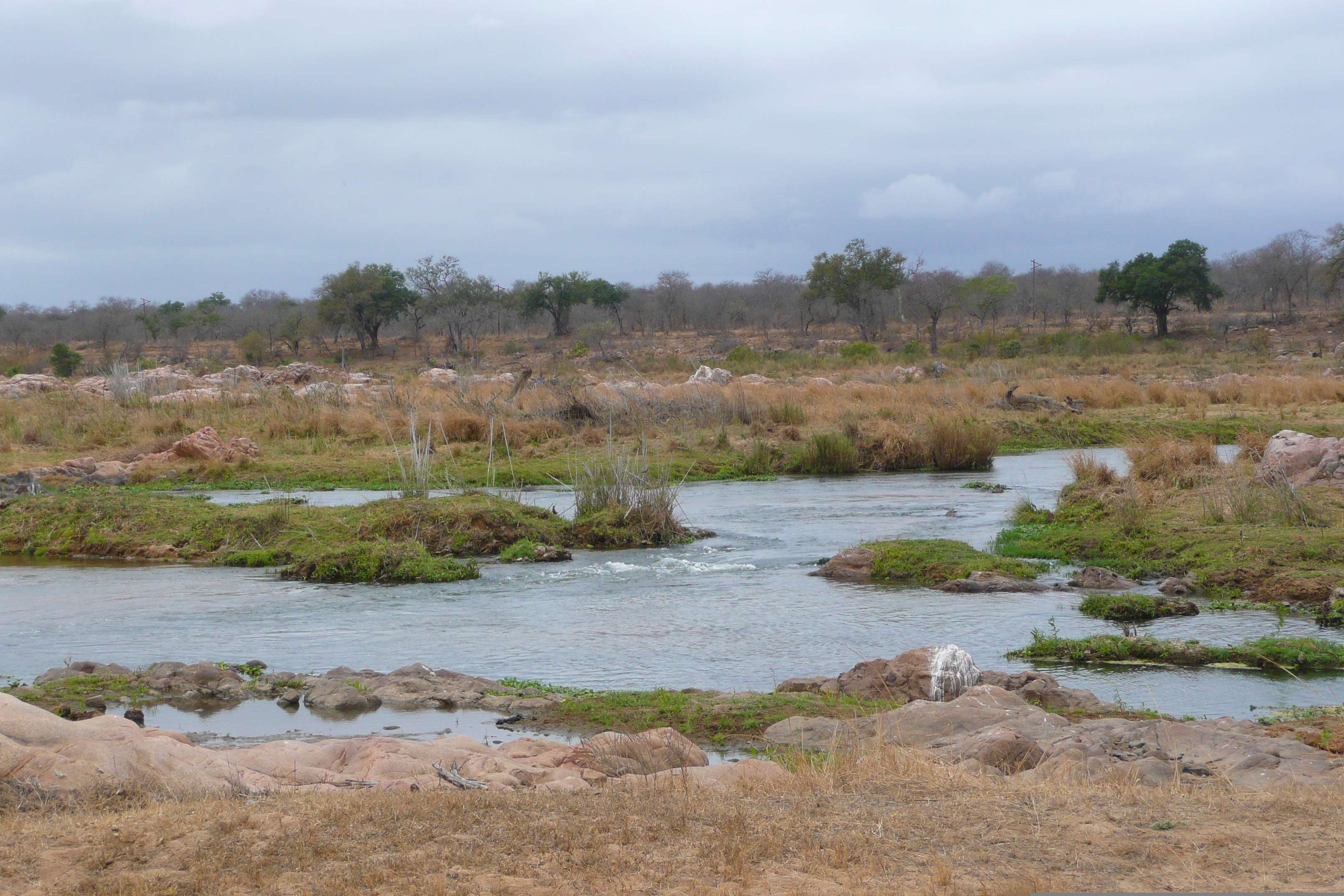 รูปถ่าย แอฟริกาใต้(South Africa) อุทยานแห่งชาติครูเกอร์(Kruger National Park) แม่น้ำครอกโคไดล์(Crocodile River) 2008-09 30