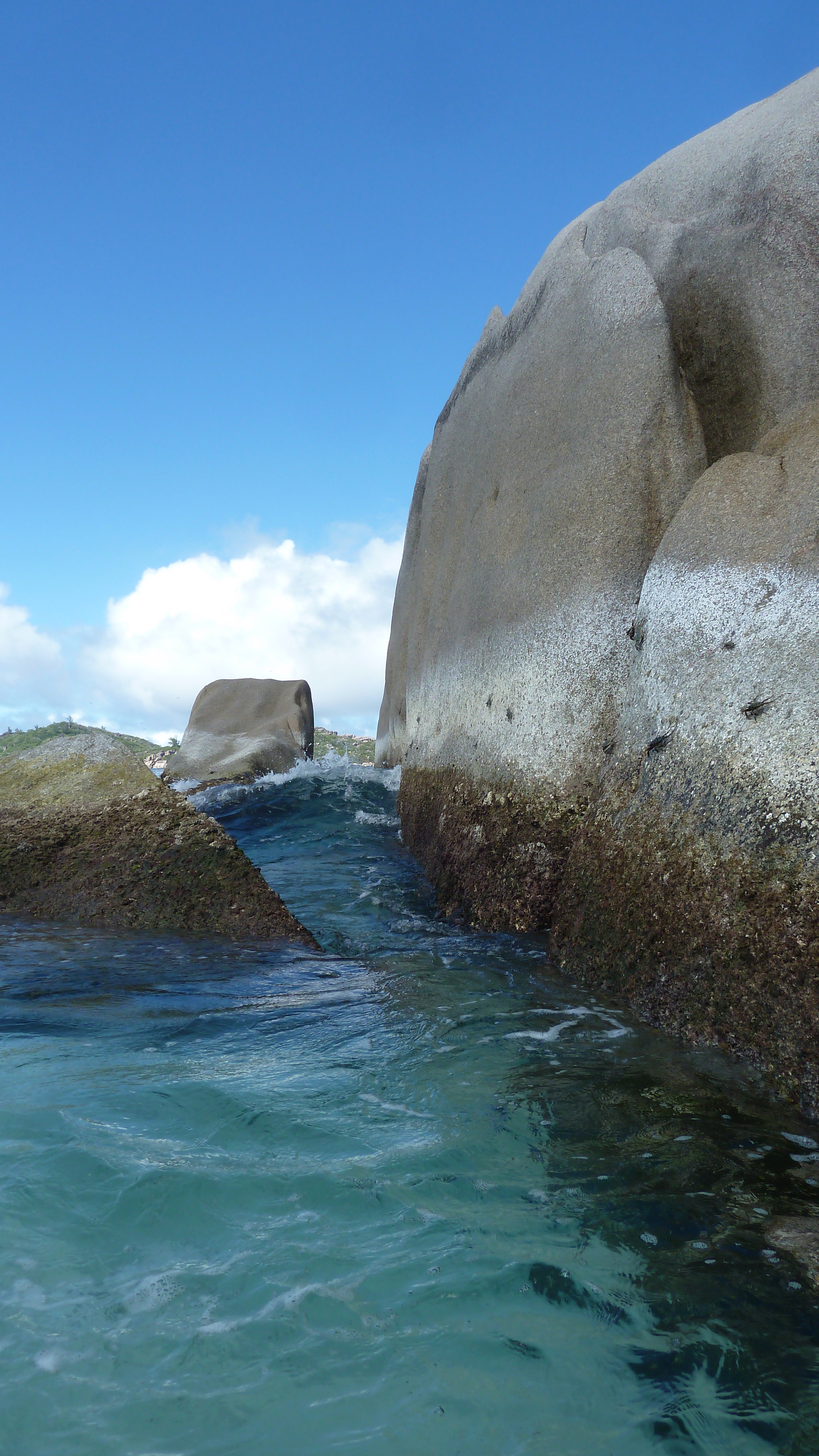 รูปถ่าย เซเชลส์(Seychelles) เกาะโกโก้(Coco Island) 2011-10 2
