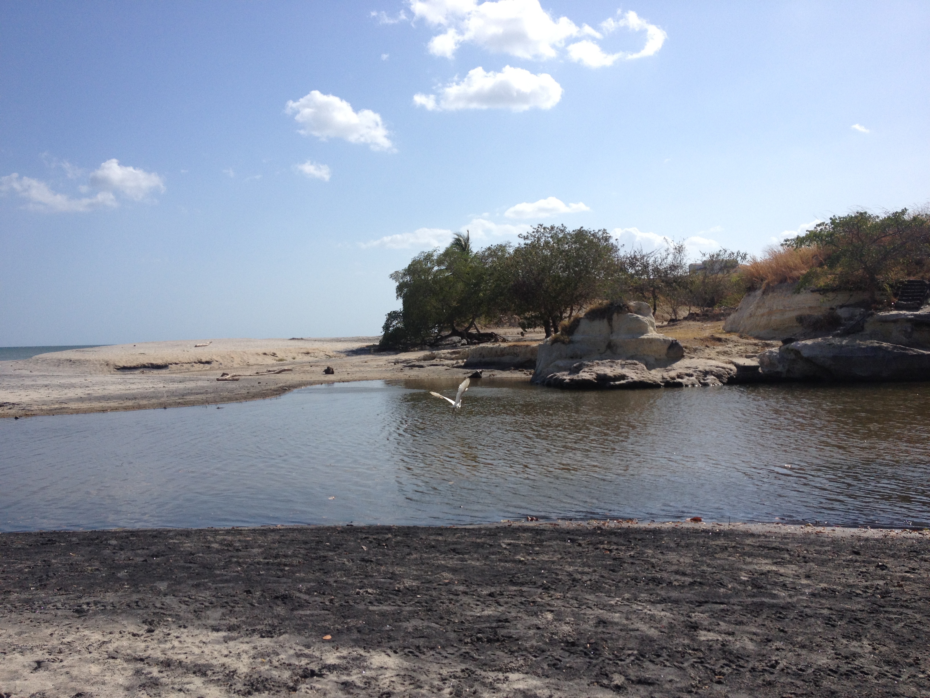 รูปถ่าย ปานามา(Panama) ซานการ์โลส(San Carlos) 2015-03 67