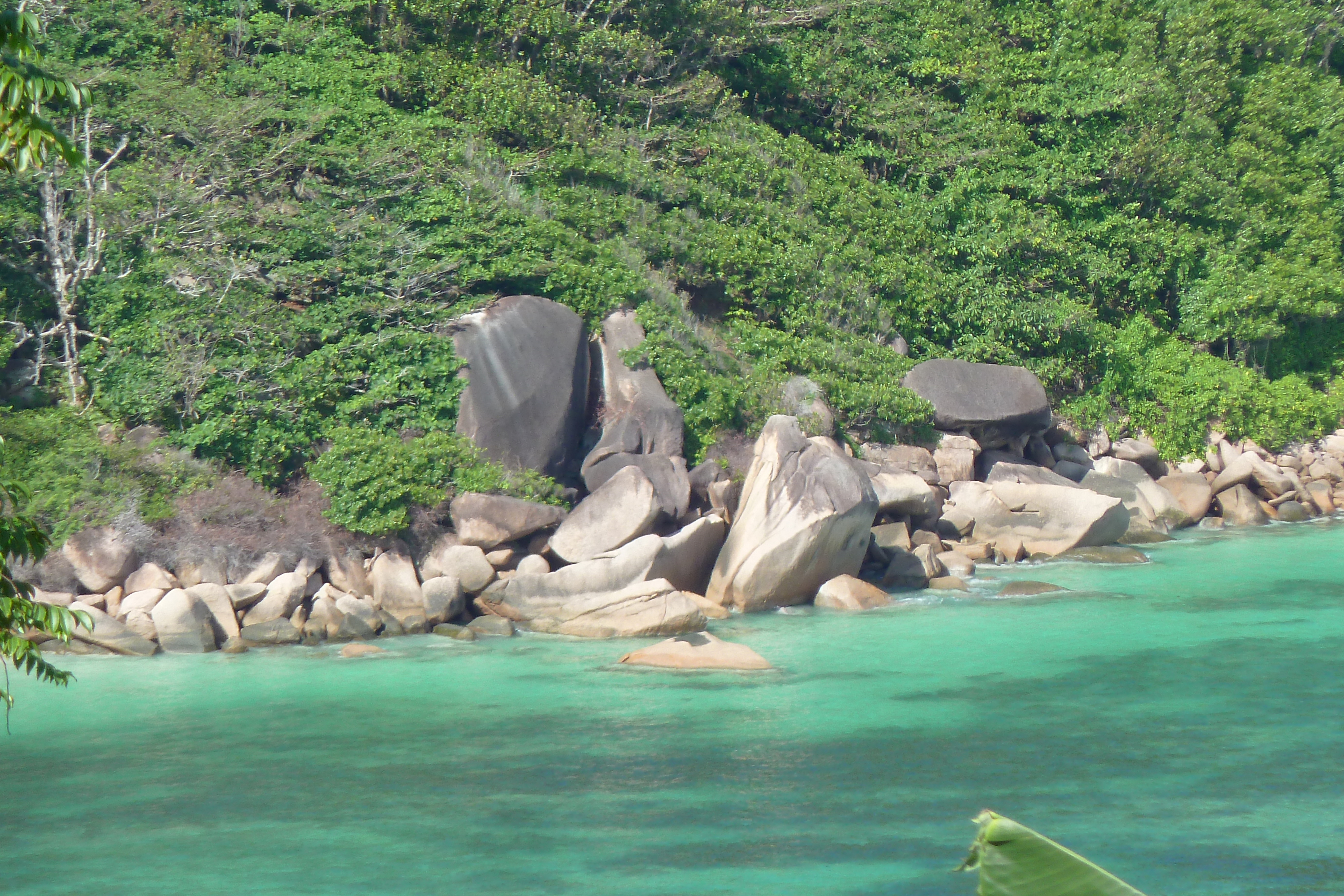 รูปถ่าย เซเชลส์(Seychelles) เกาะปราลิน(Praslin) 2011-10 145