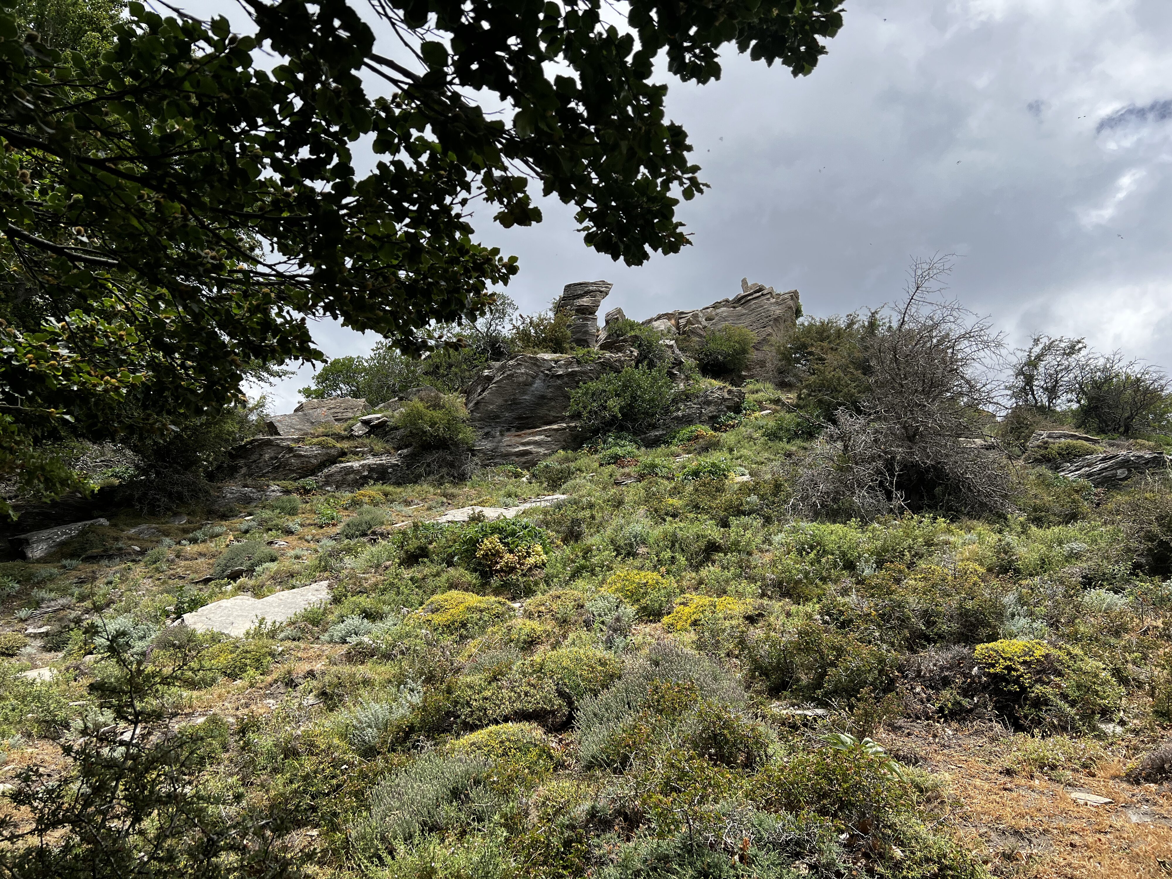 รูปถ่าย ฝรั่งเศส(France) คอร์สิคา(Corsica) ที่พักกัลเลรุชชู(Refuge de Callerucciu) 2022-06 13