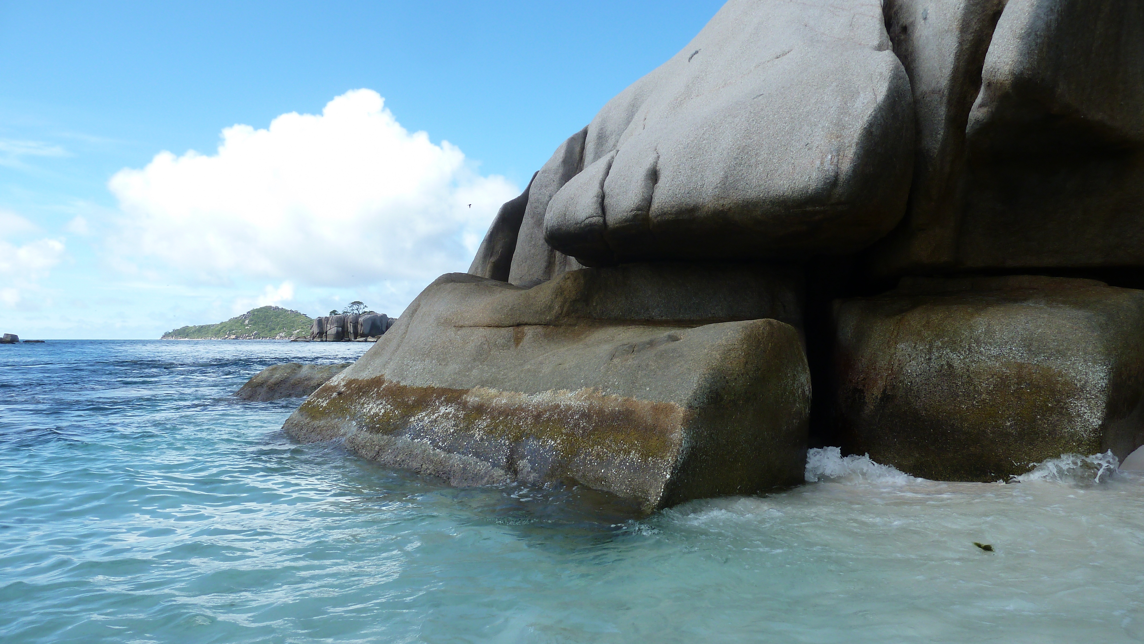 รูปถ่าย เซเชลส์(Seychelles) เกาะโกโก้(Coco Island) 2011-10 69