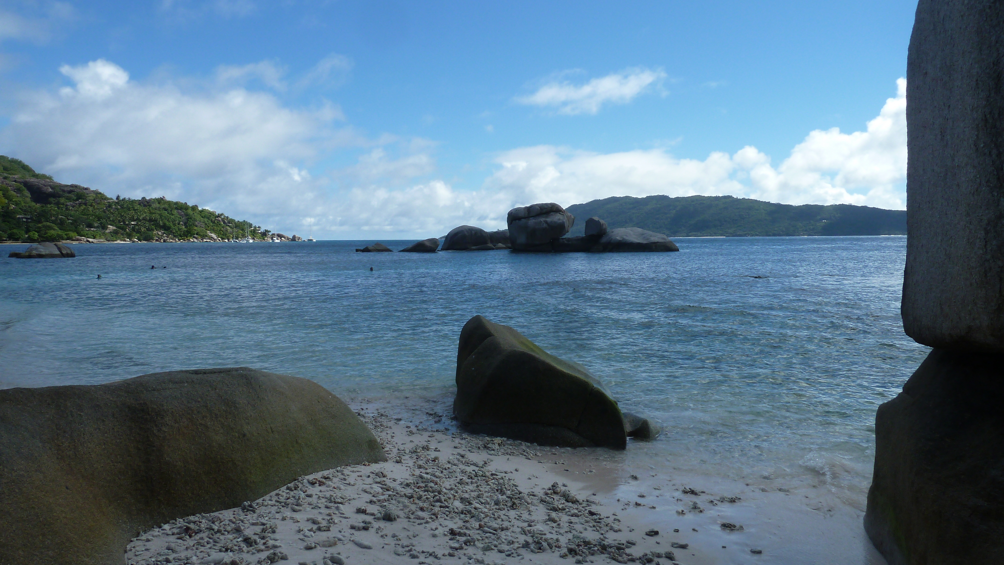รูปถ่าย เซเชลส์(Seychelles) เกาะโกโก้(Coco Island) 2011-10 61