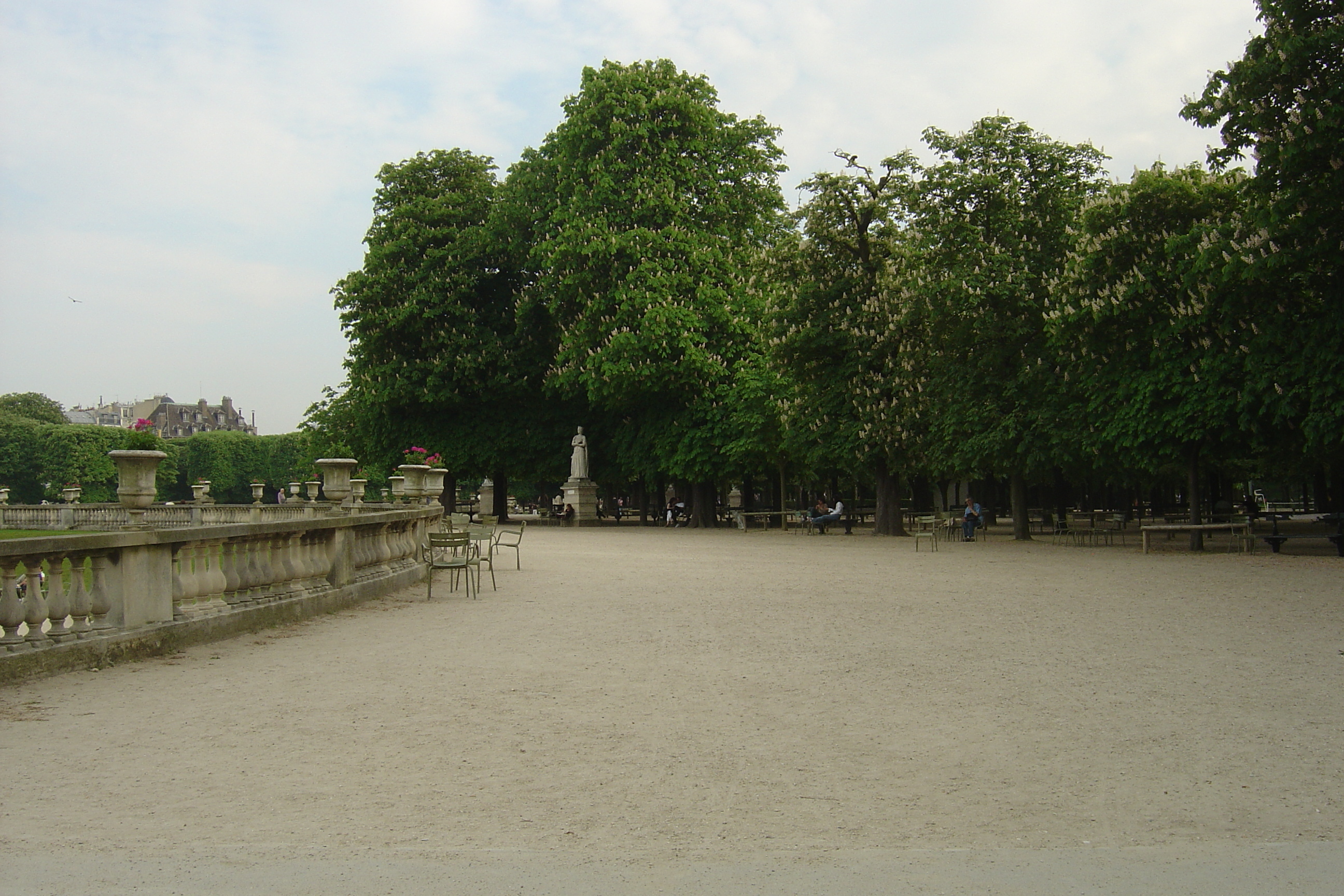 รูปถ่าย ฝรั่งเศส(France) ปารีส(Paris) สวนลักเซมเบิร์ก(Luxembourg Garden) 2007-04 60